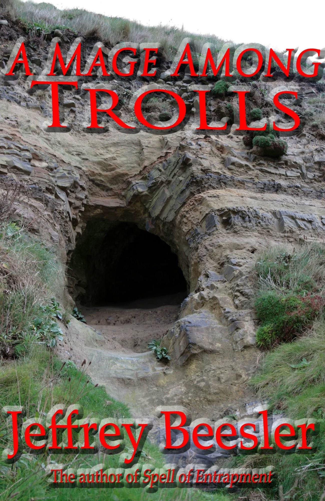 A Mage Among Trolls