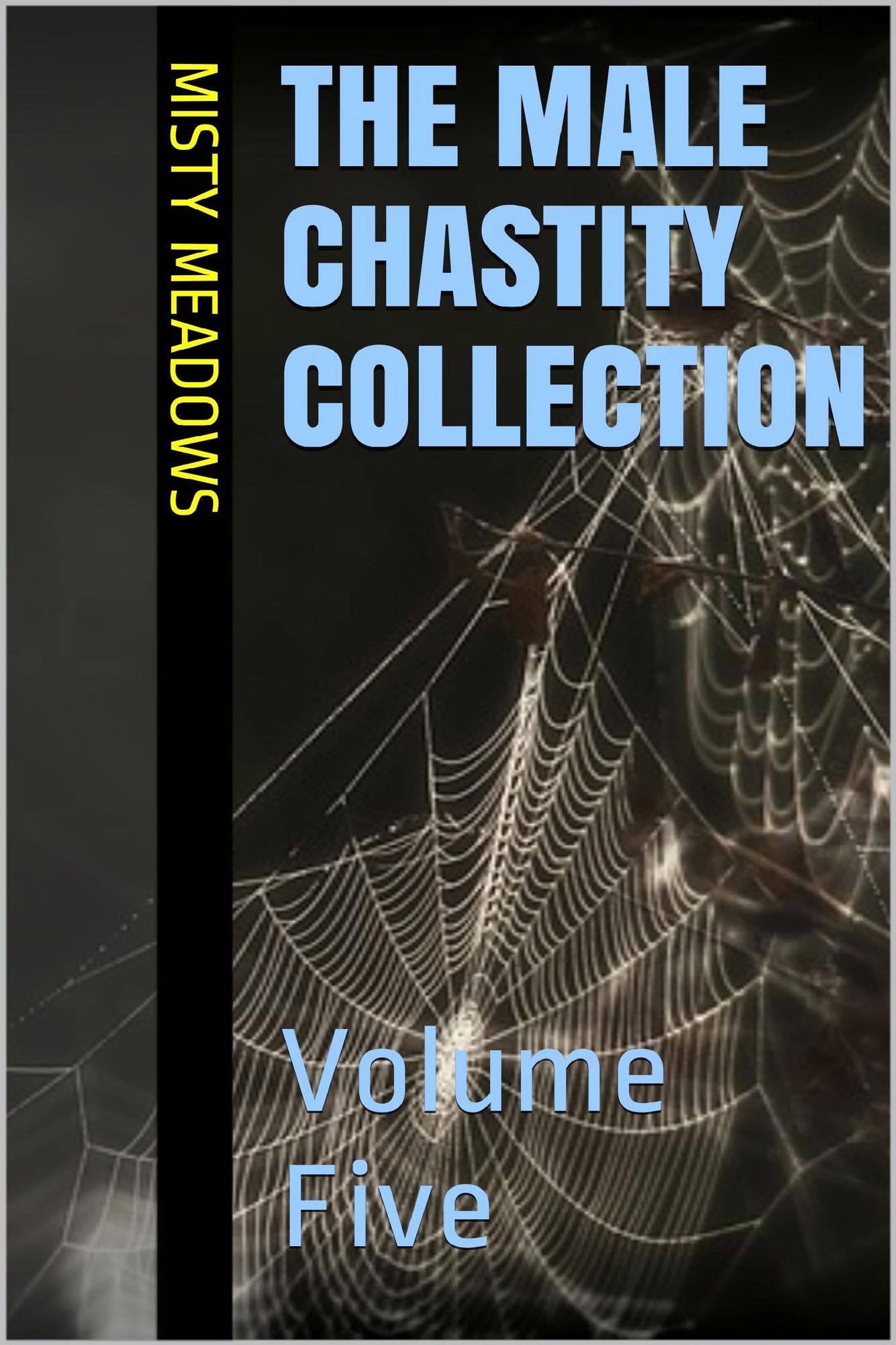 The Male Chastity Collection: Volume Five (Femdom, Chastity)