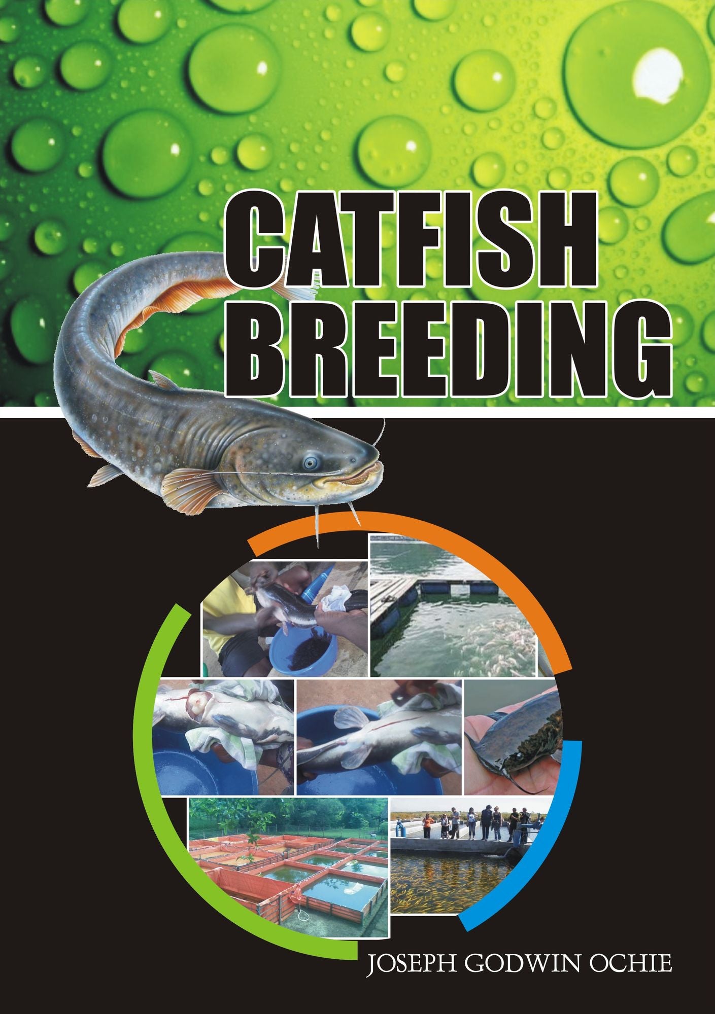 Catfish Breeding