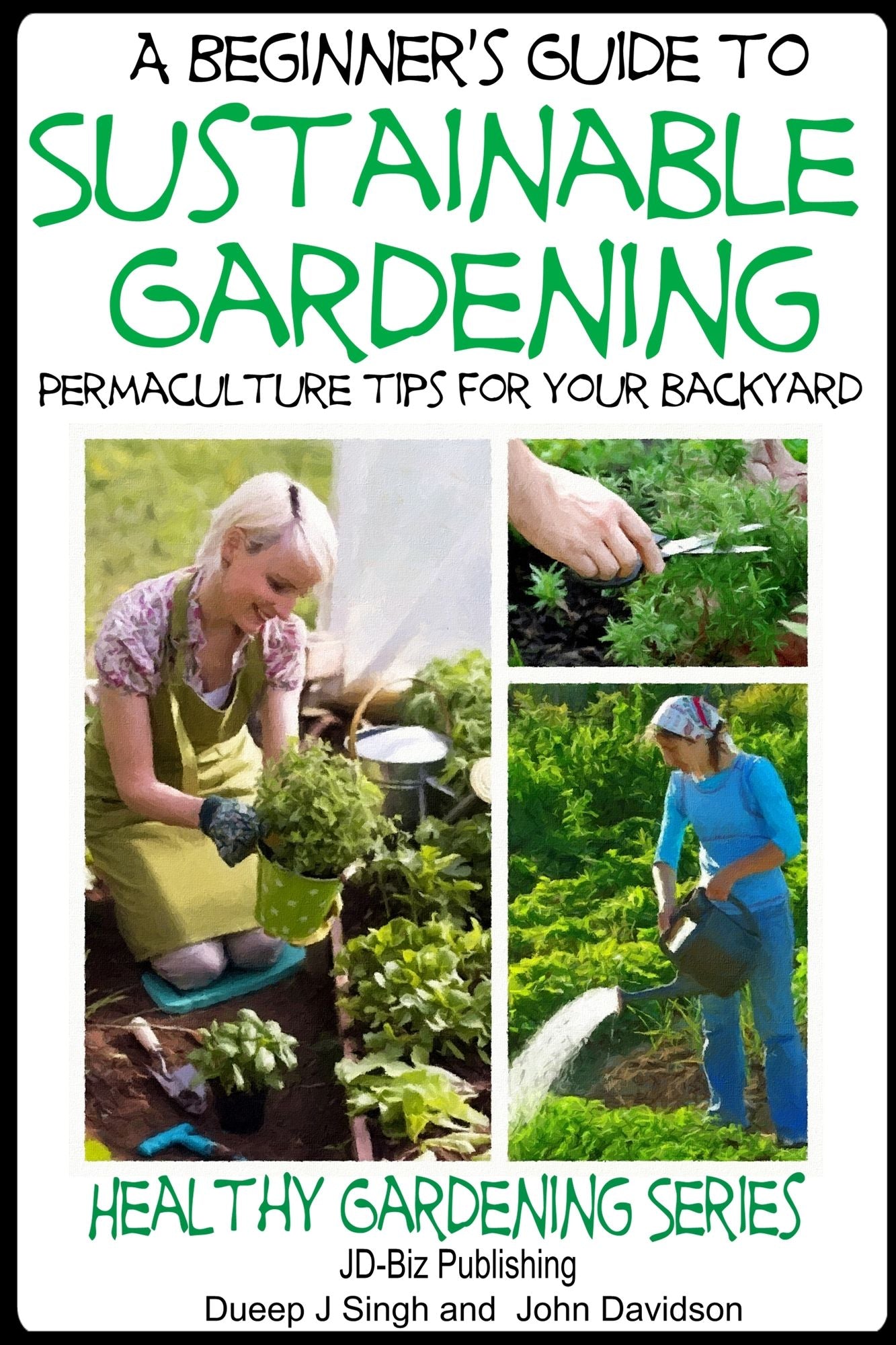 A Beginner's Guide to Sustainable Gardening