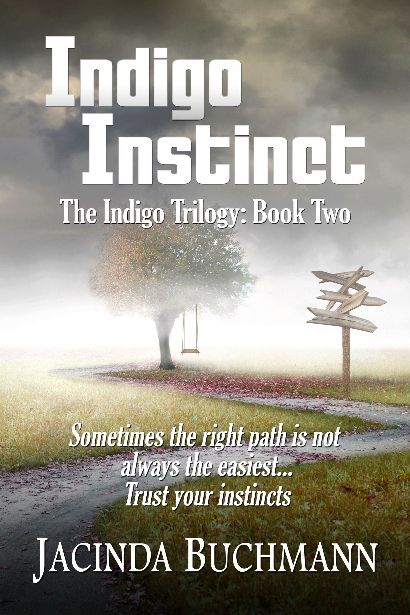 Indigo Instinct: The Indigo Trilogy: Book Two
