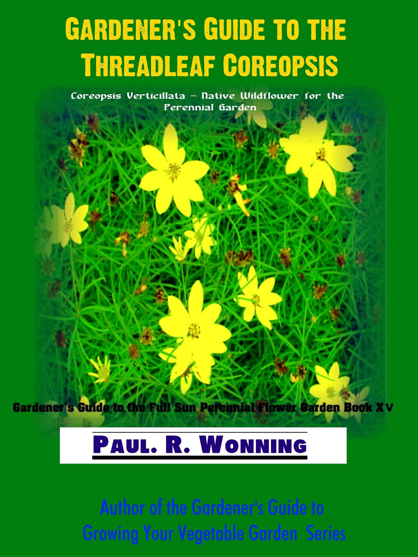 Gardener's Guide to the Threadleaf Coreopsis