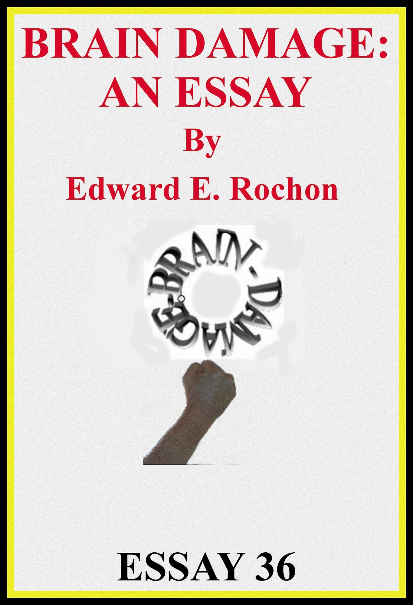 Brain Damage: An Essay