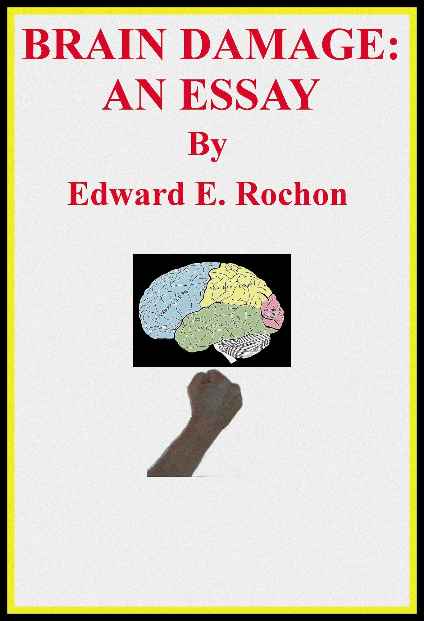Brain Damage: An Essay