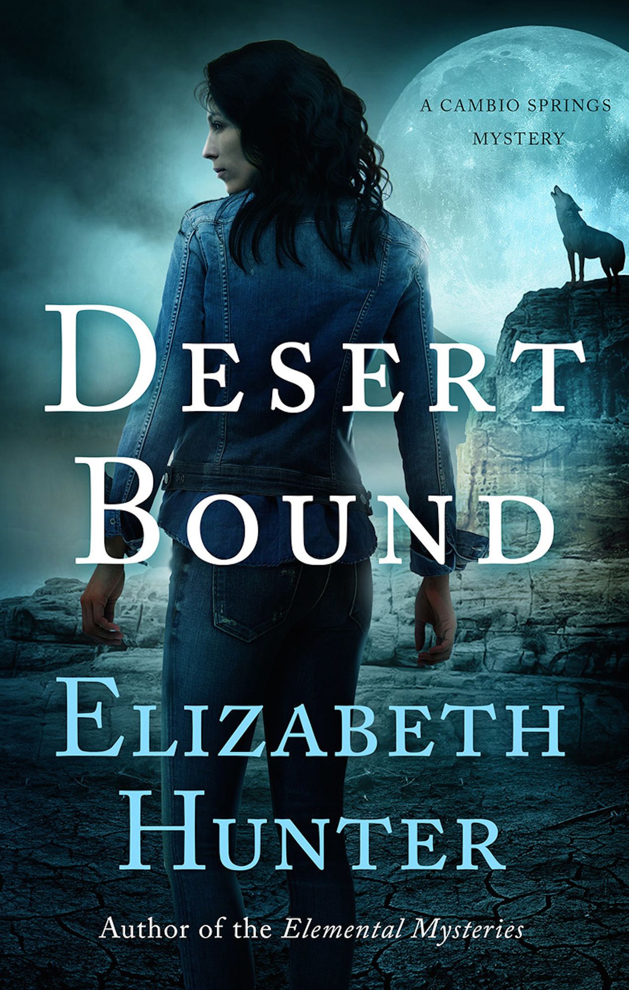 Desert Bound: A Cambio Springs Mystery
