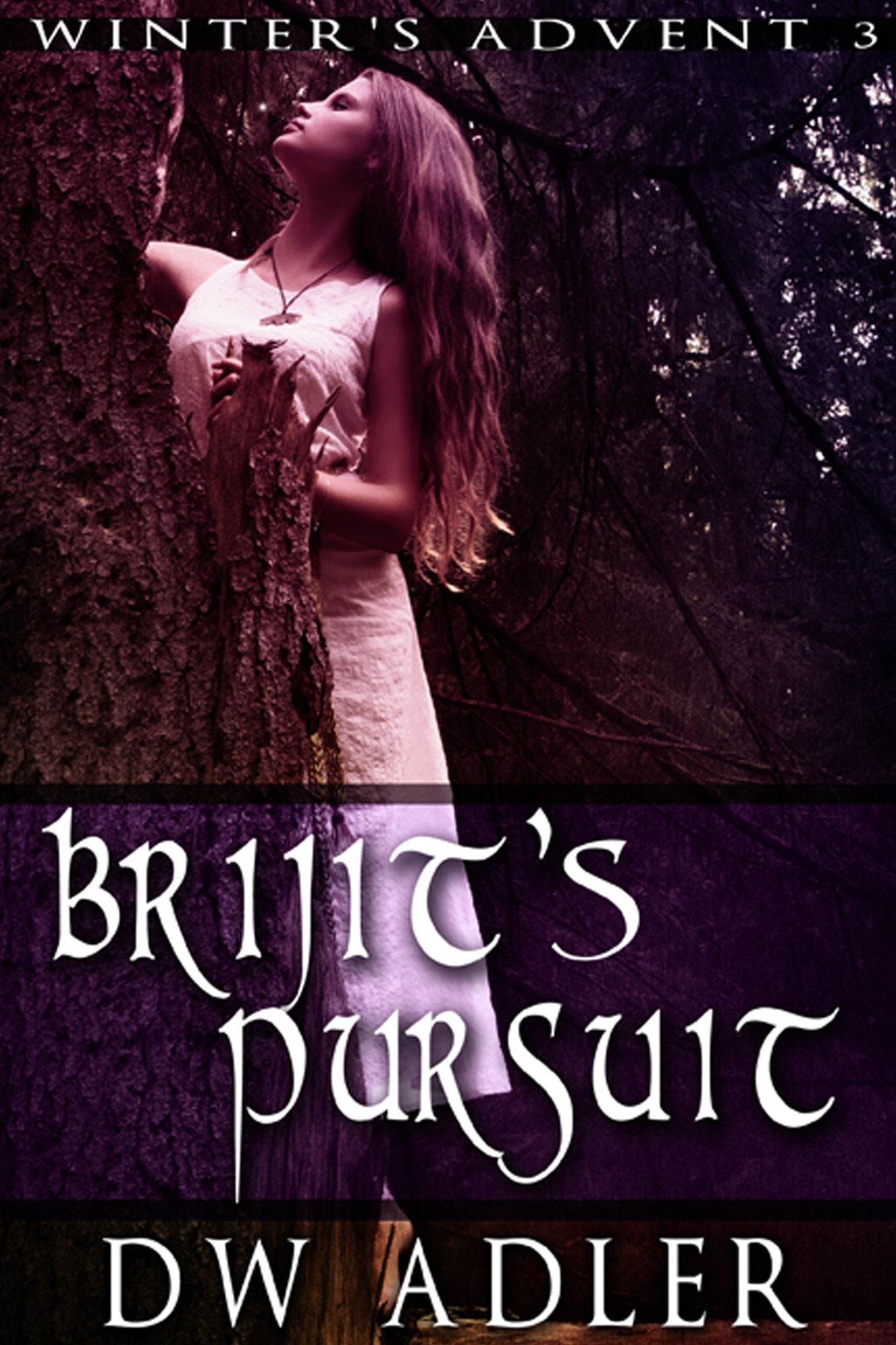 Brijit's Pursuit