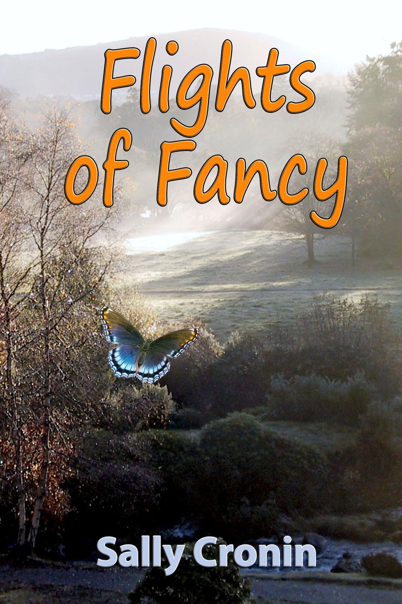 Flights of Fancy