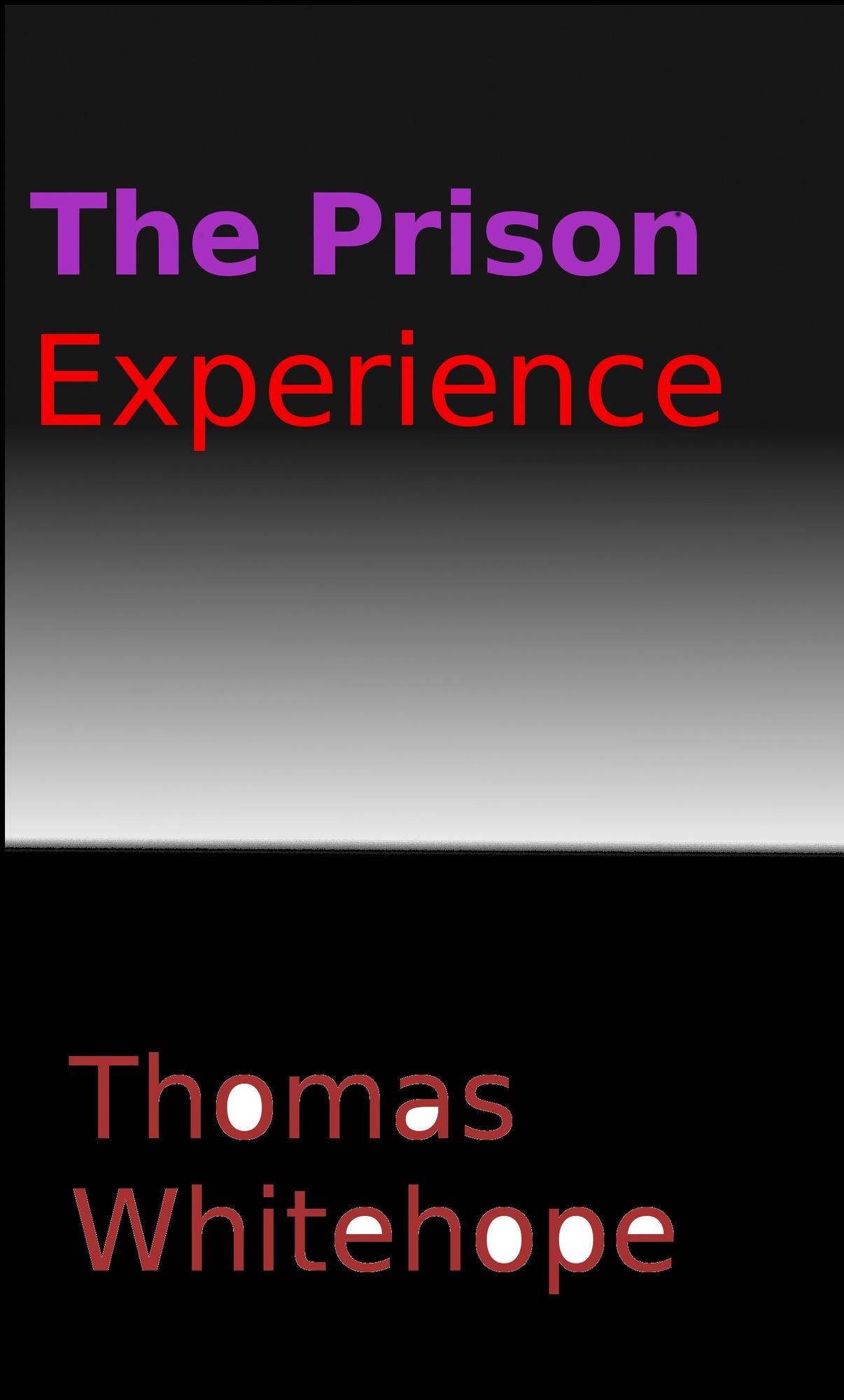 The Prison Experience