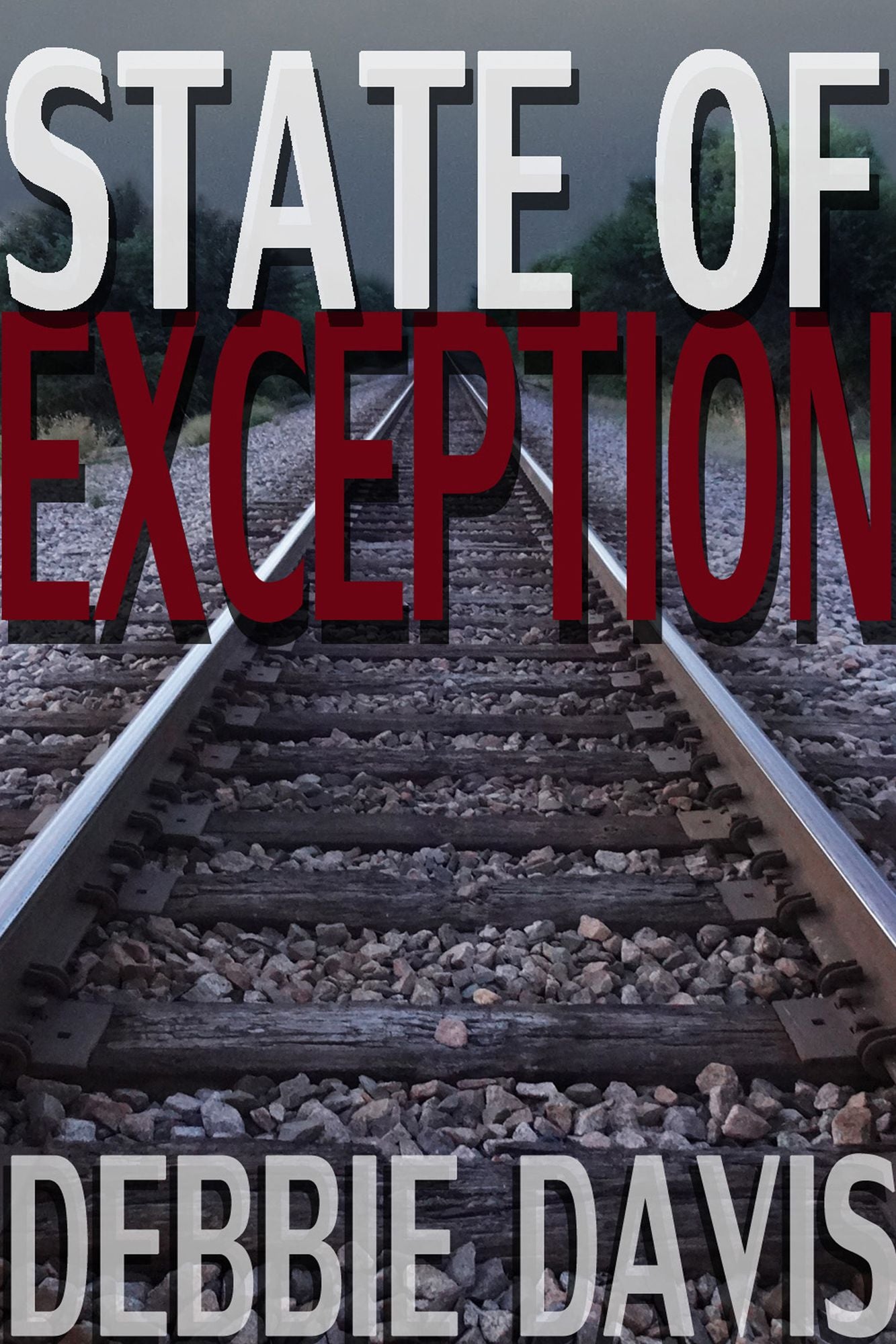 State of Exception