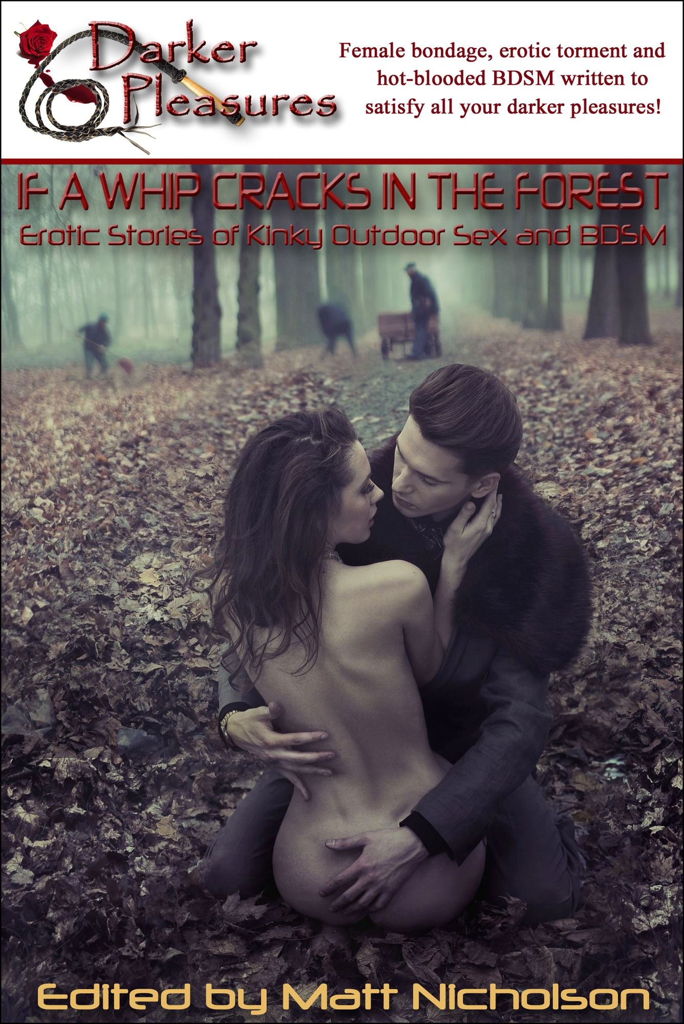 If a Whip Cracks in the Forest: Erotic Stories of Kinky Outdoor Sex and BDSM
