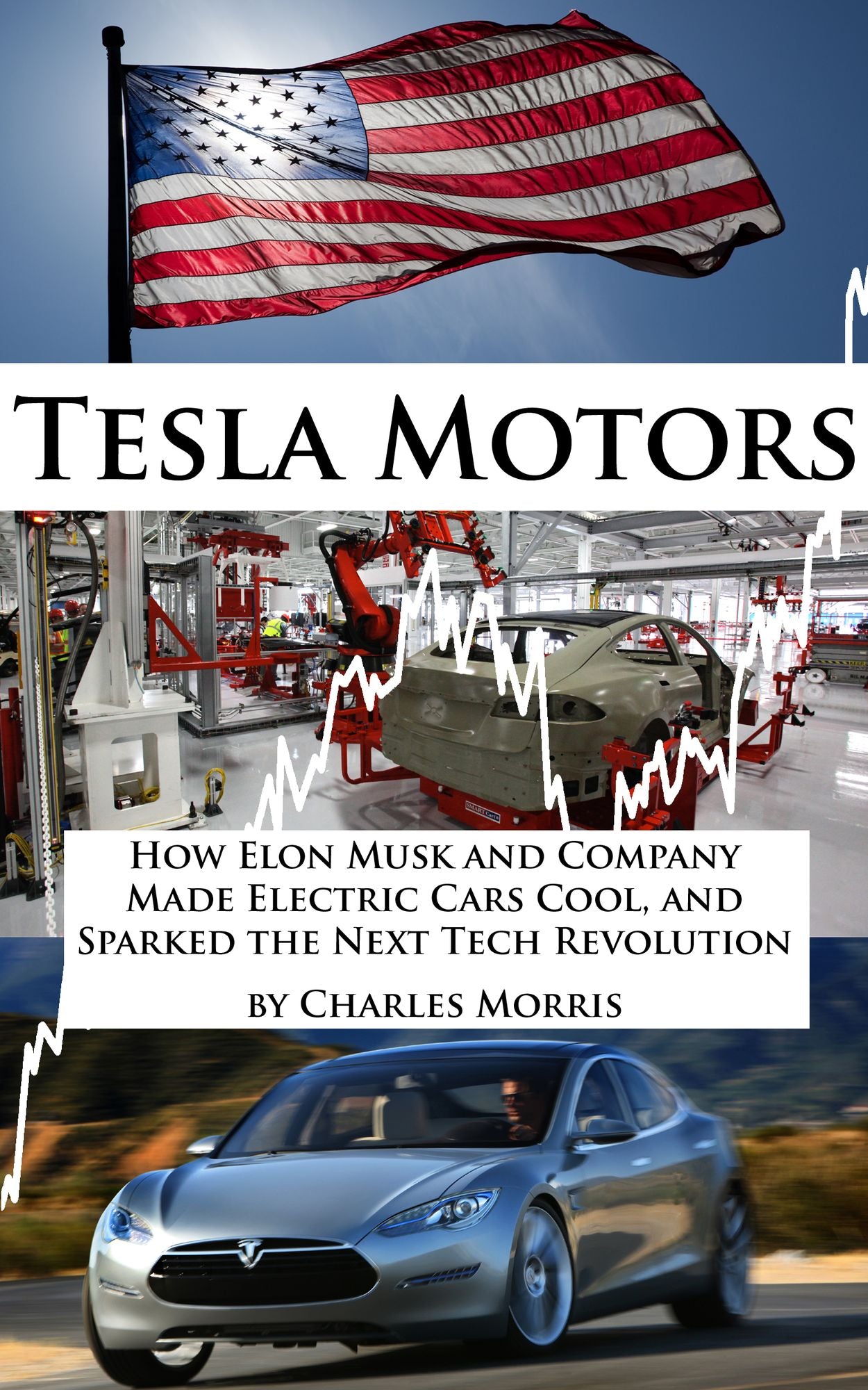 Tesla Motors: How Elon Musk and Company Made Electric Cars Cool, and Sparked the Next Tech Revolution
