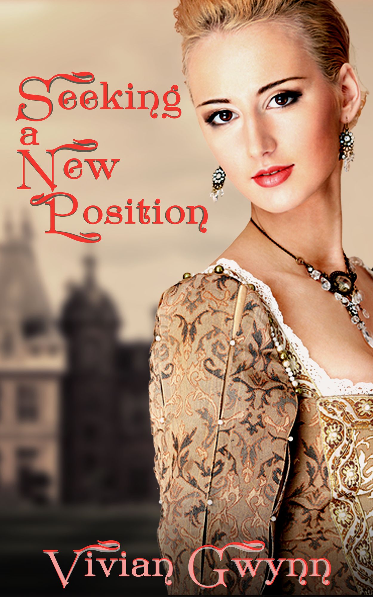 Seeking a New Position