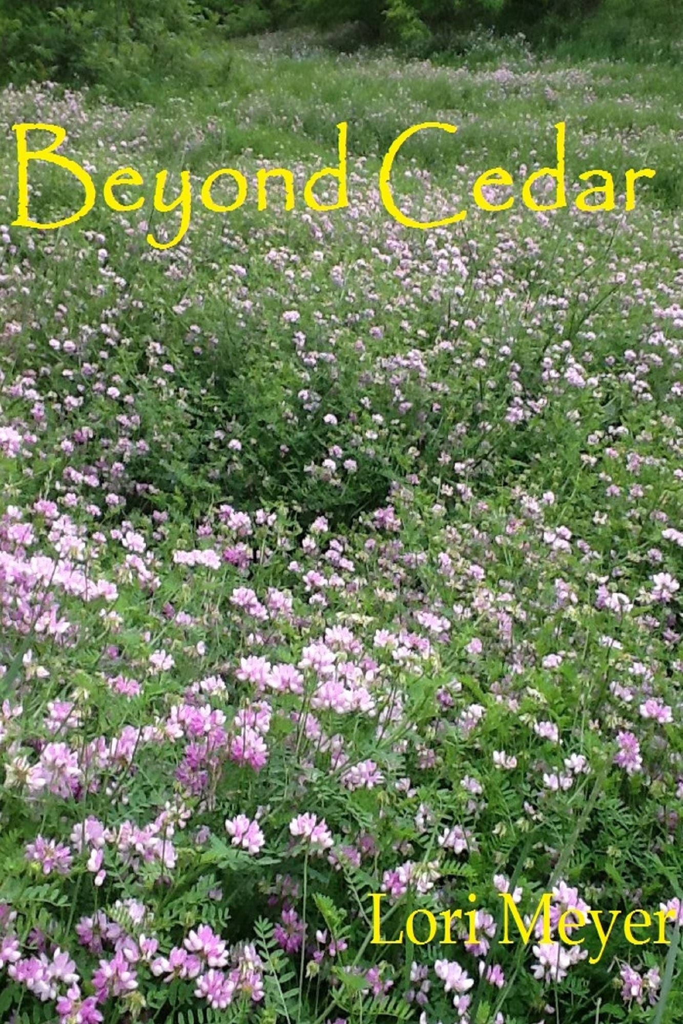 Beyond Cedar