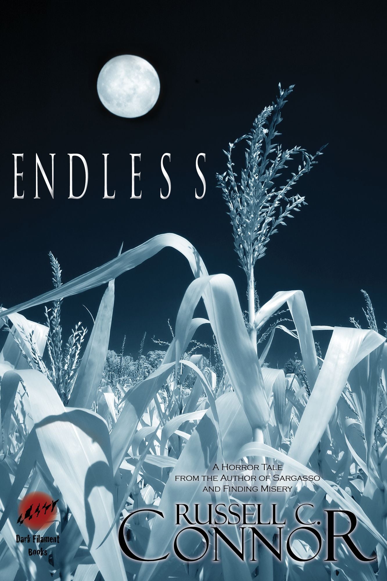Endless