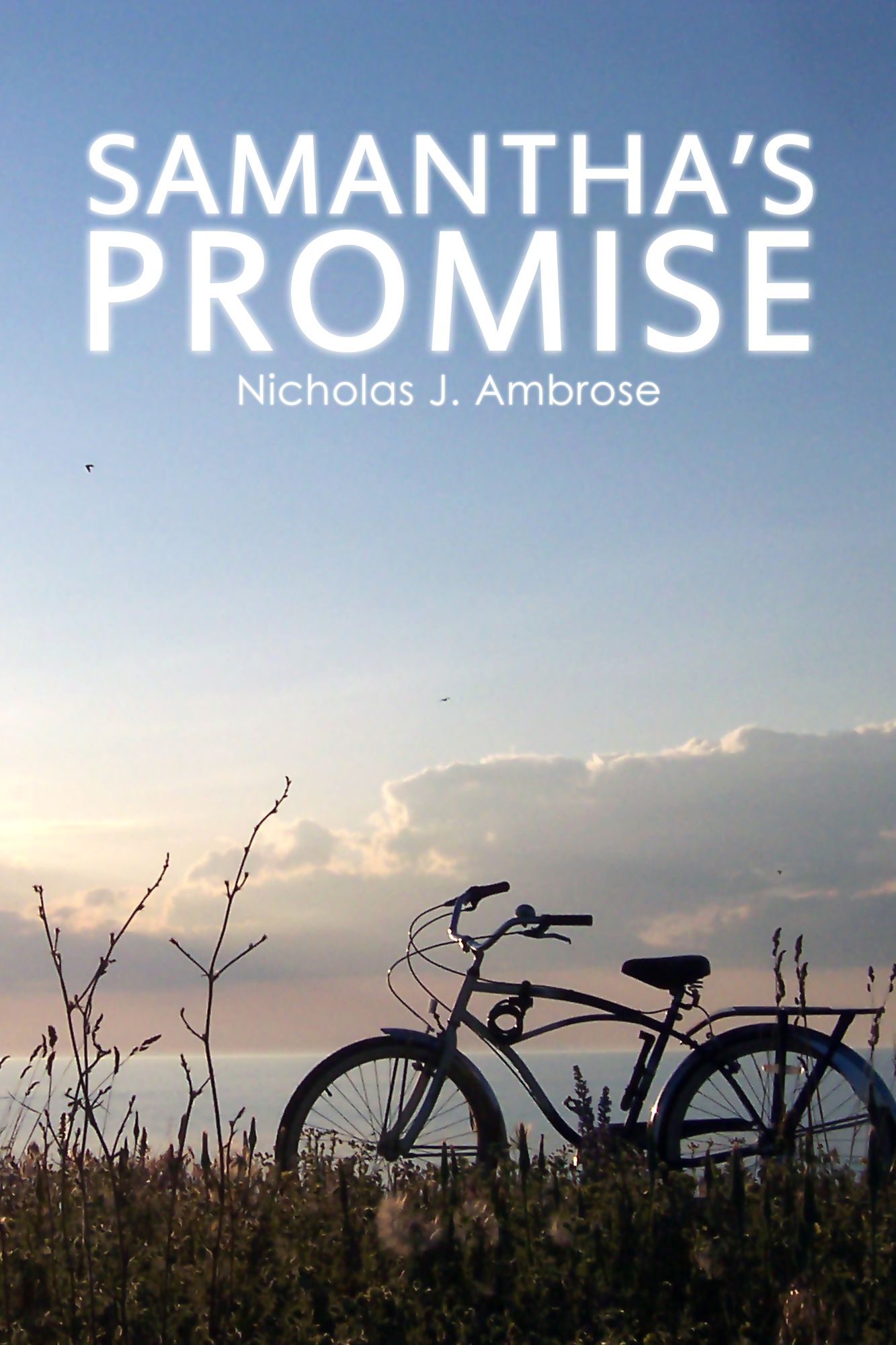 Samantha's Promise