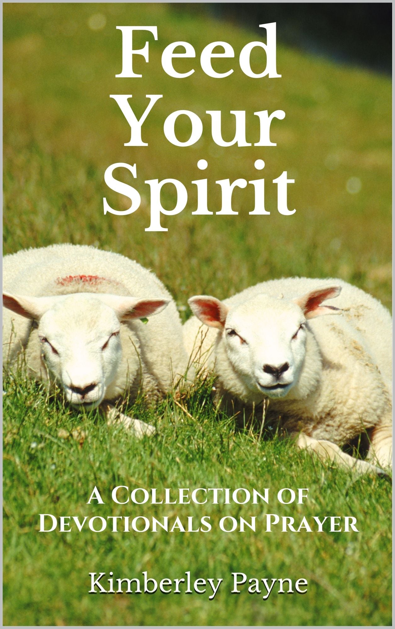 Feed Your Spirit: A Collection of Devotionals on Prayer