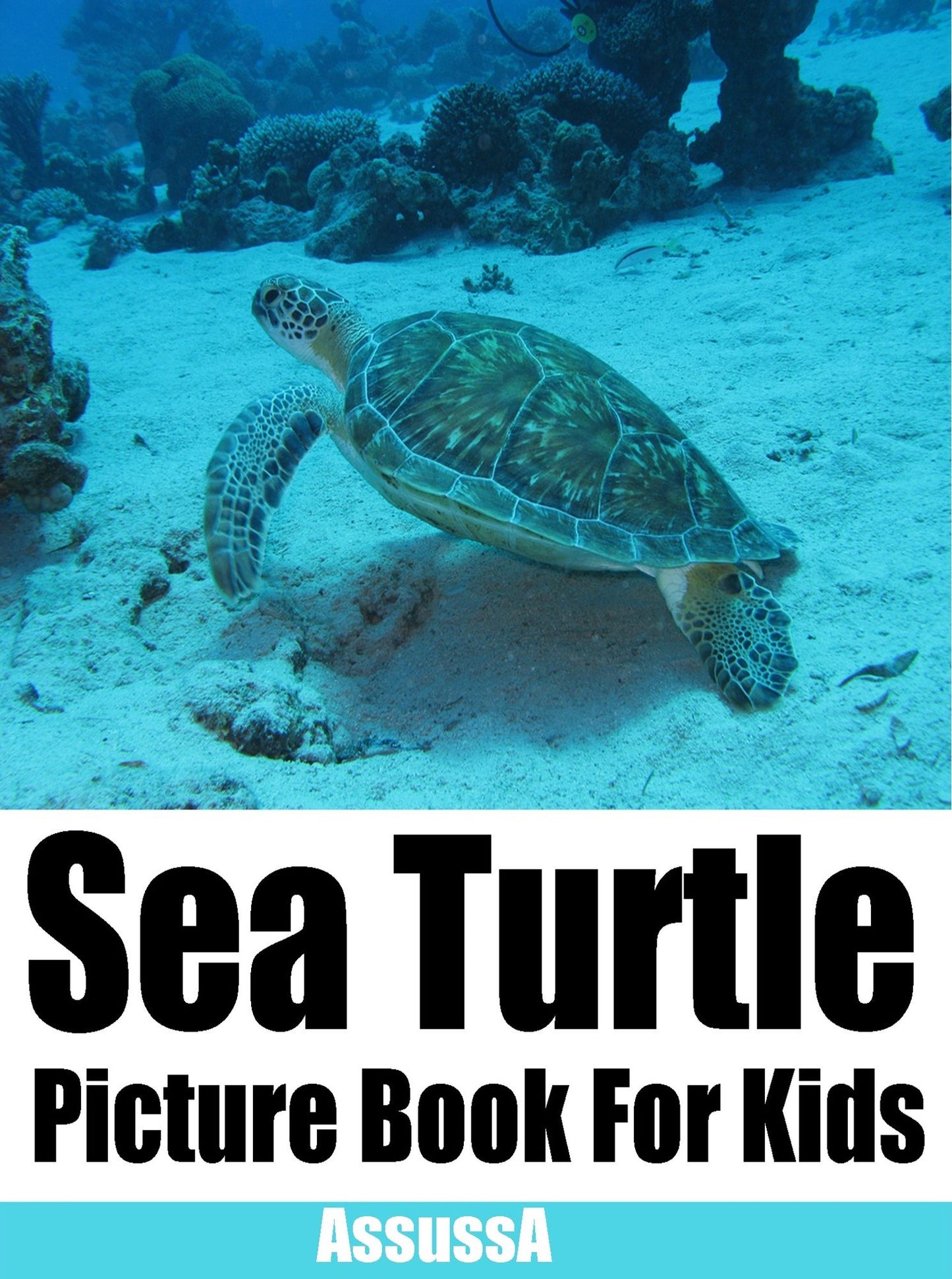 Sea Turtle Picture Book For Kids (4-9 age)