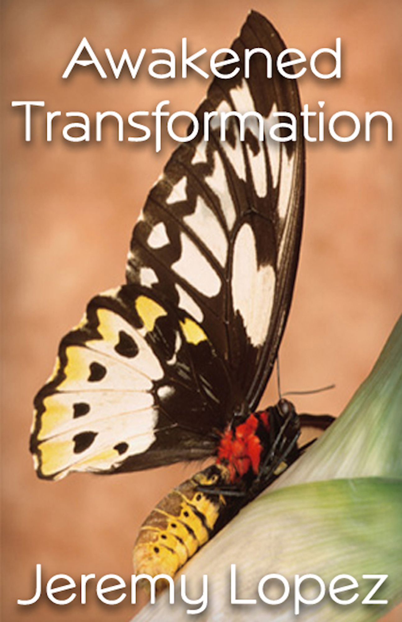 Awakened Transformation