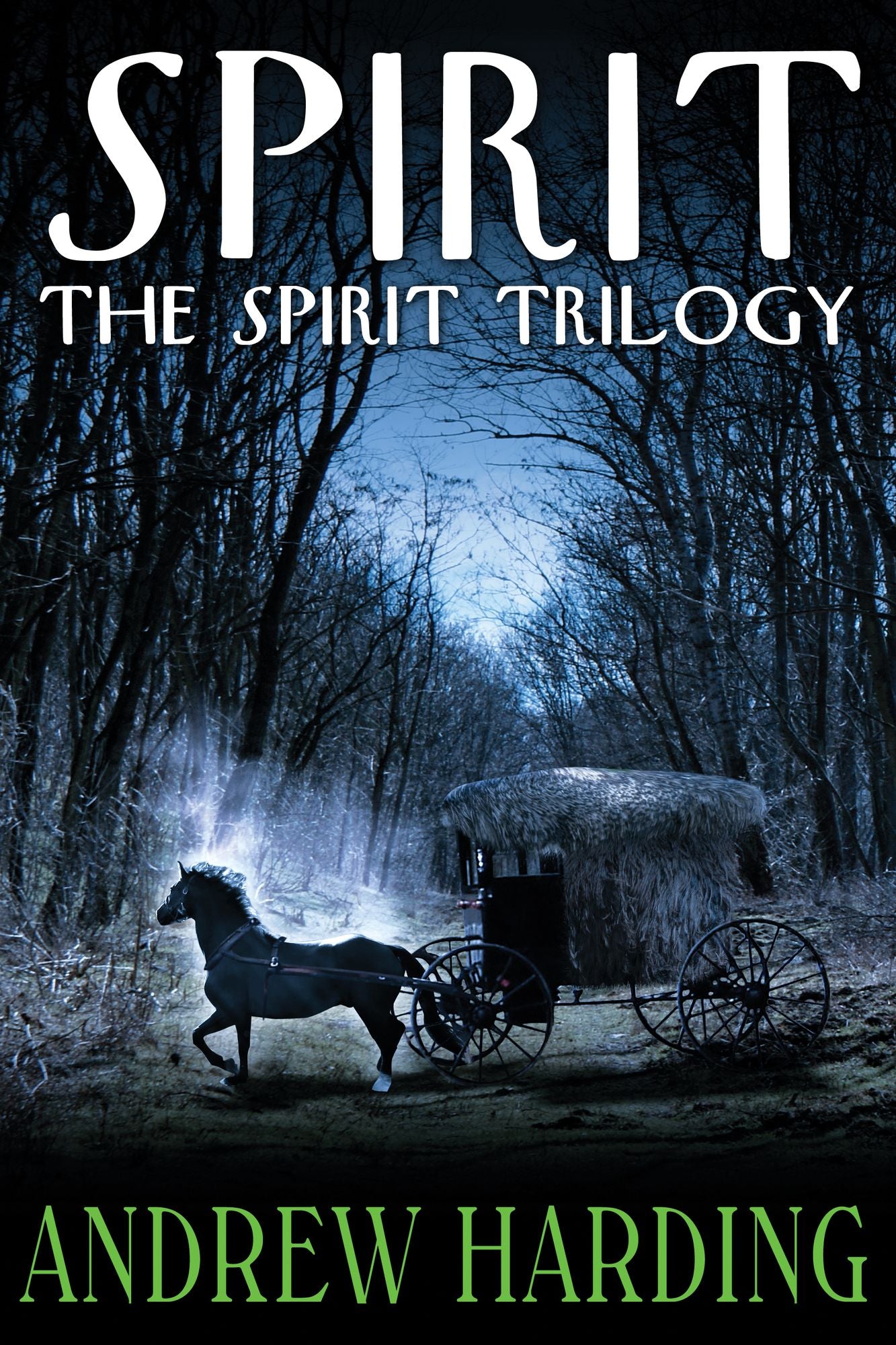 The Spirit Trilogy: Spirit Book 1