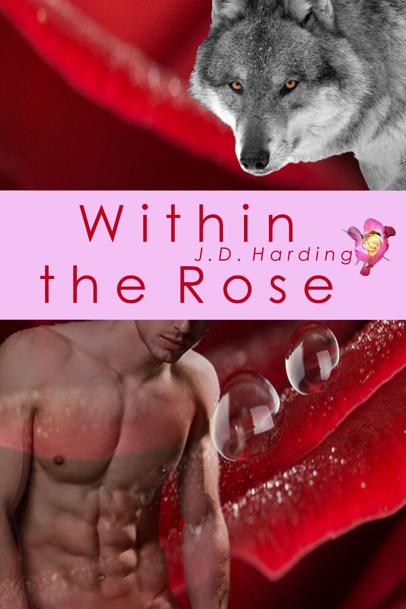 Within the Rose