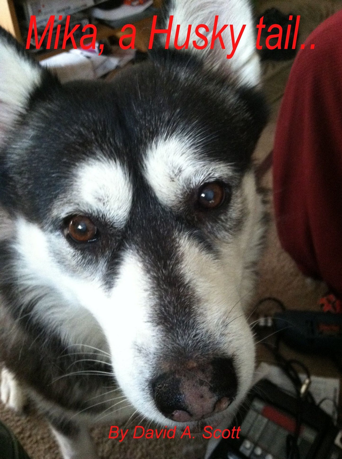 Mika, a Husky Tail