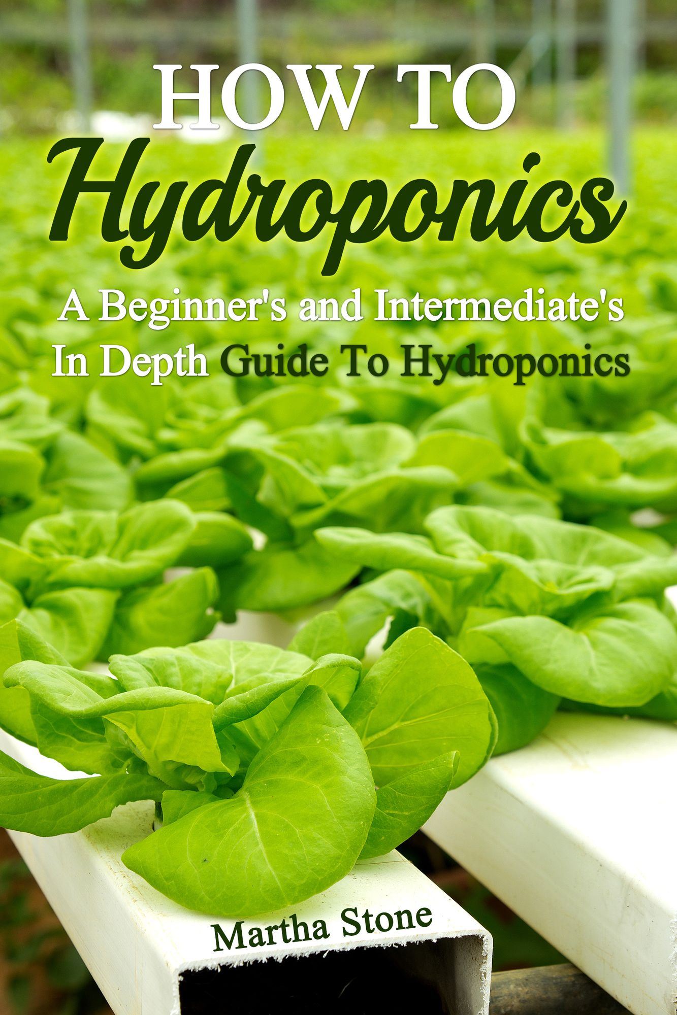 How To Hydroponics: A Beginner's and Intermediate's In Depth Guide To Hydroponics