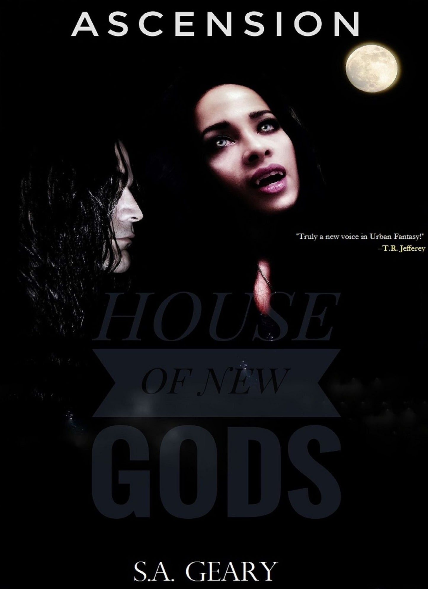 Ascension (House of New Gods Series-Book 2)