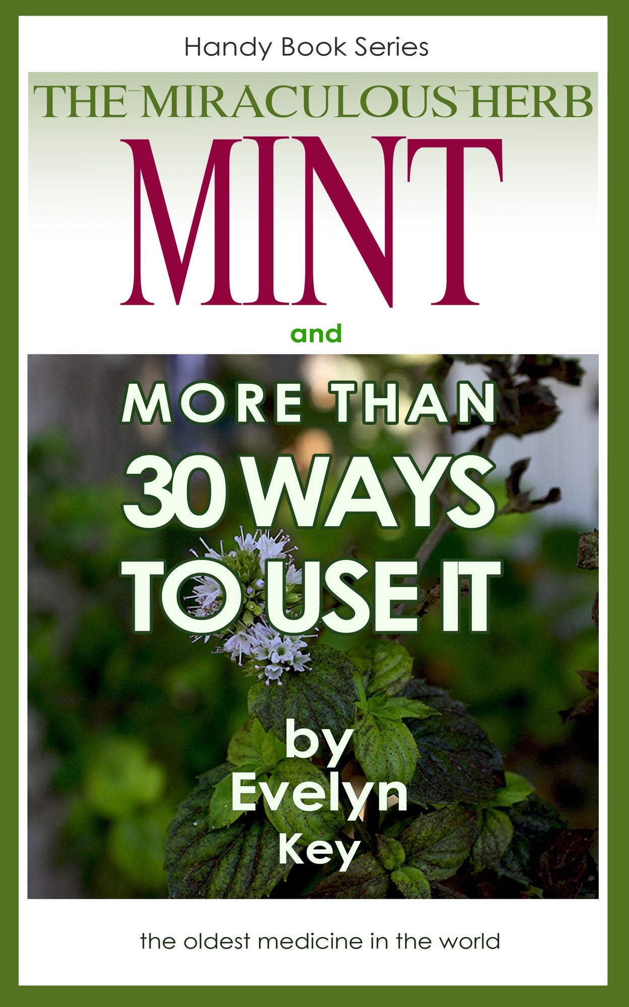 Mint, The Miraculous Herb, And more than 30 Ways To Use It