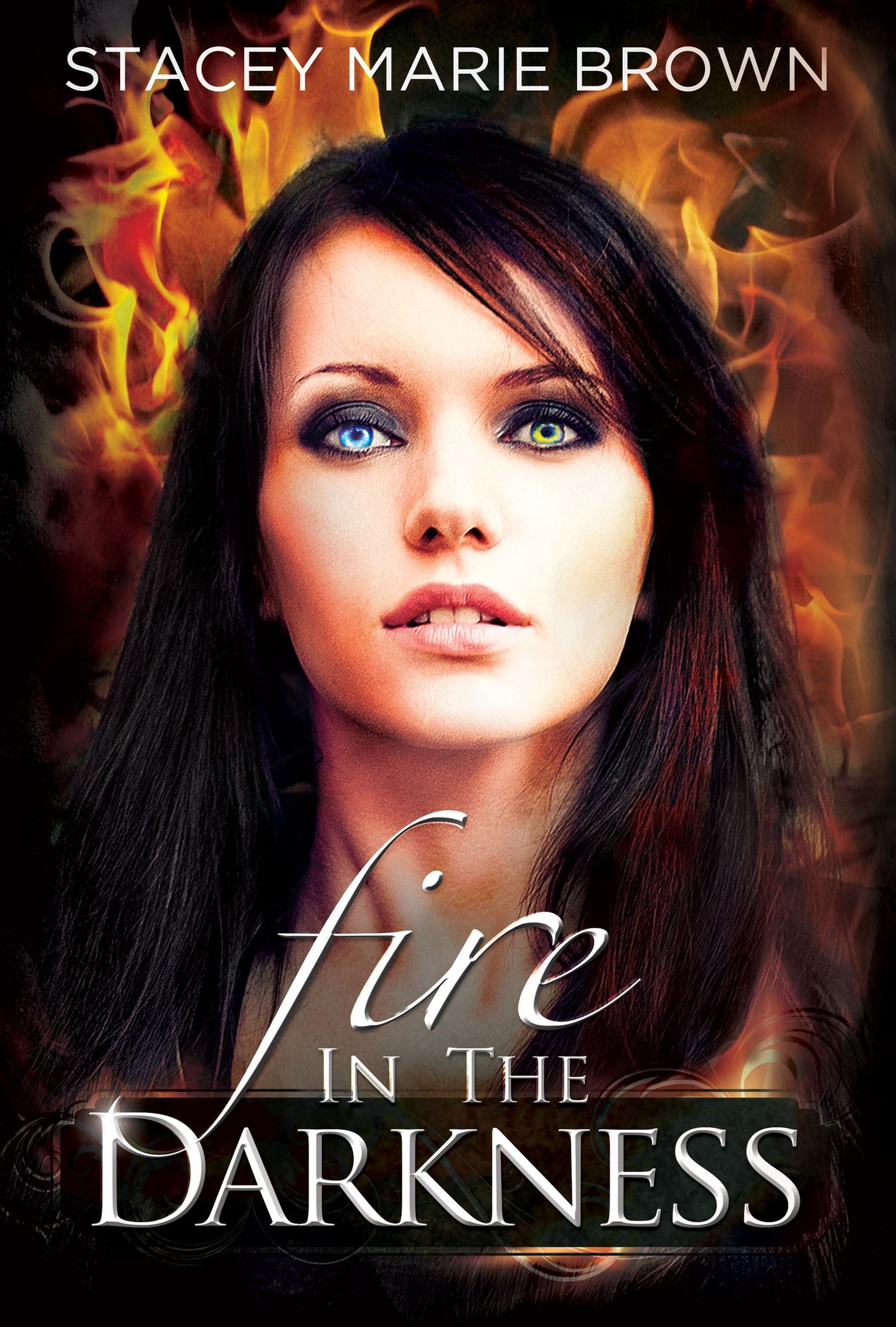 Fire In The Darkness (Darkness Series #2)