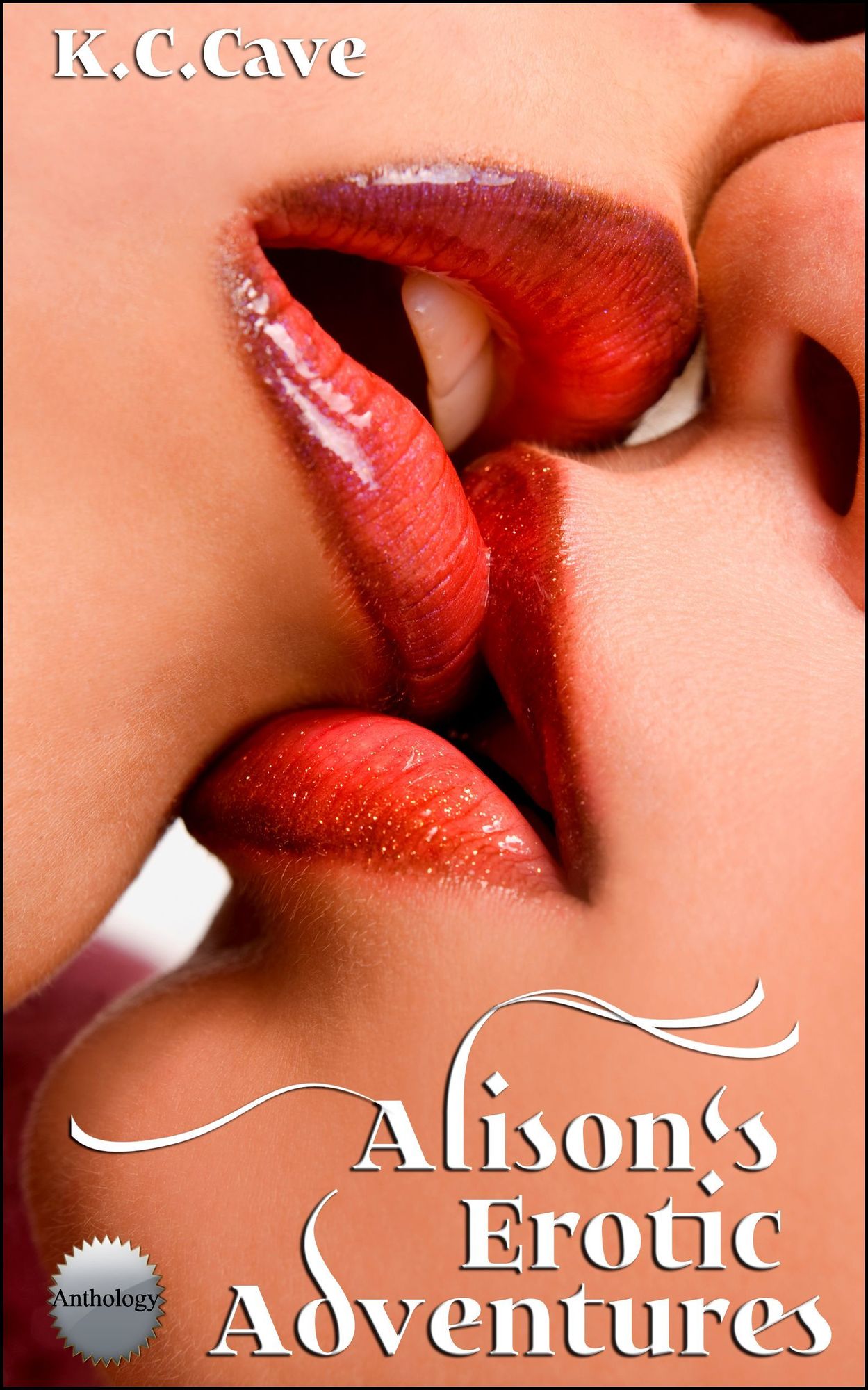 Alison's Erotic Adventures