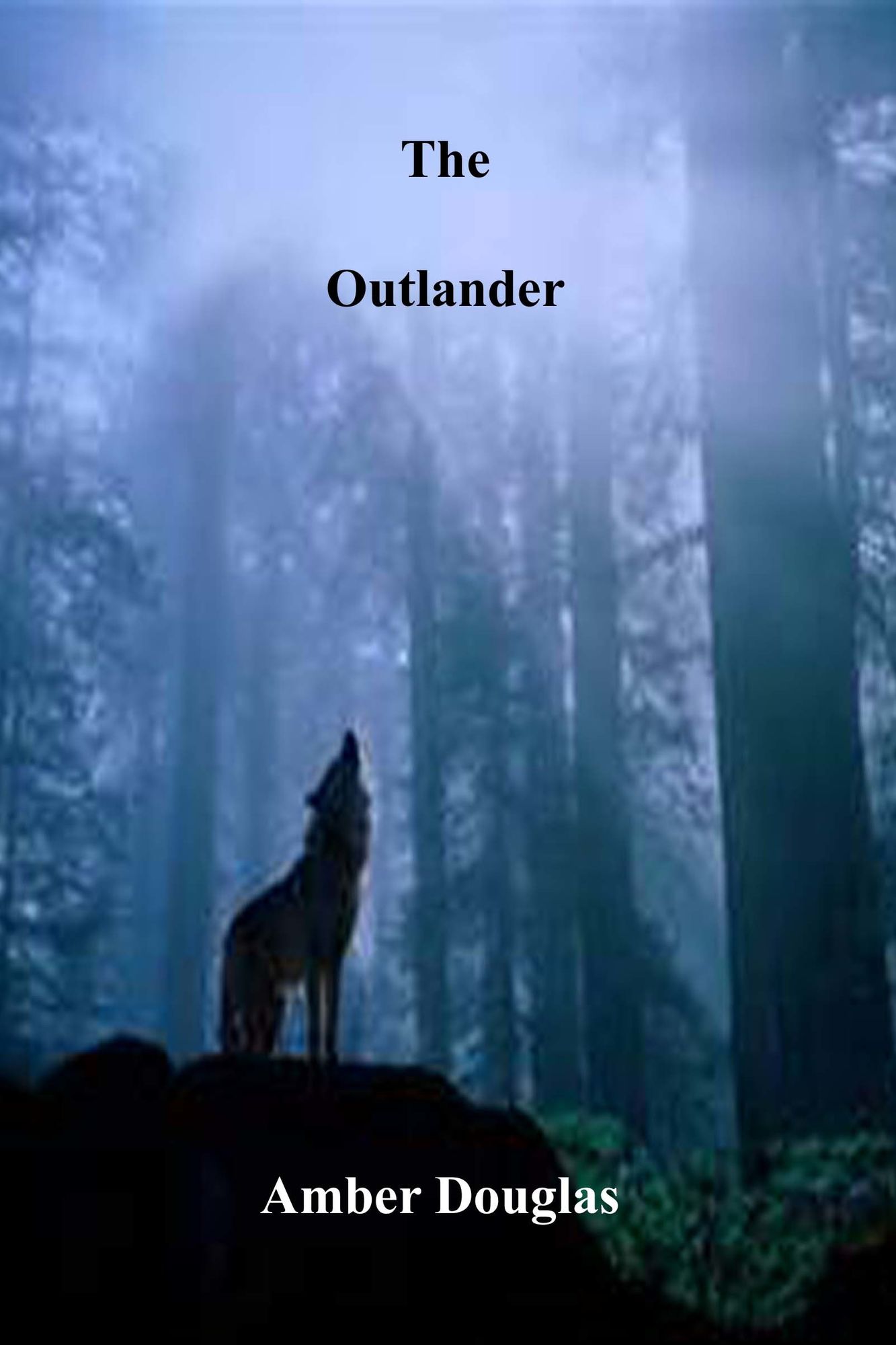 The Outlander