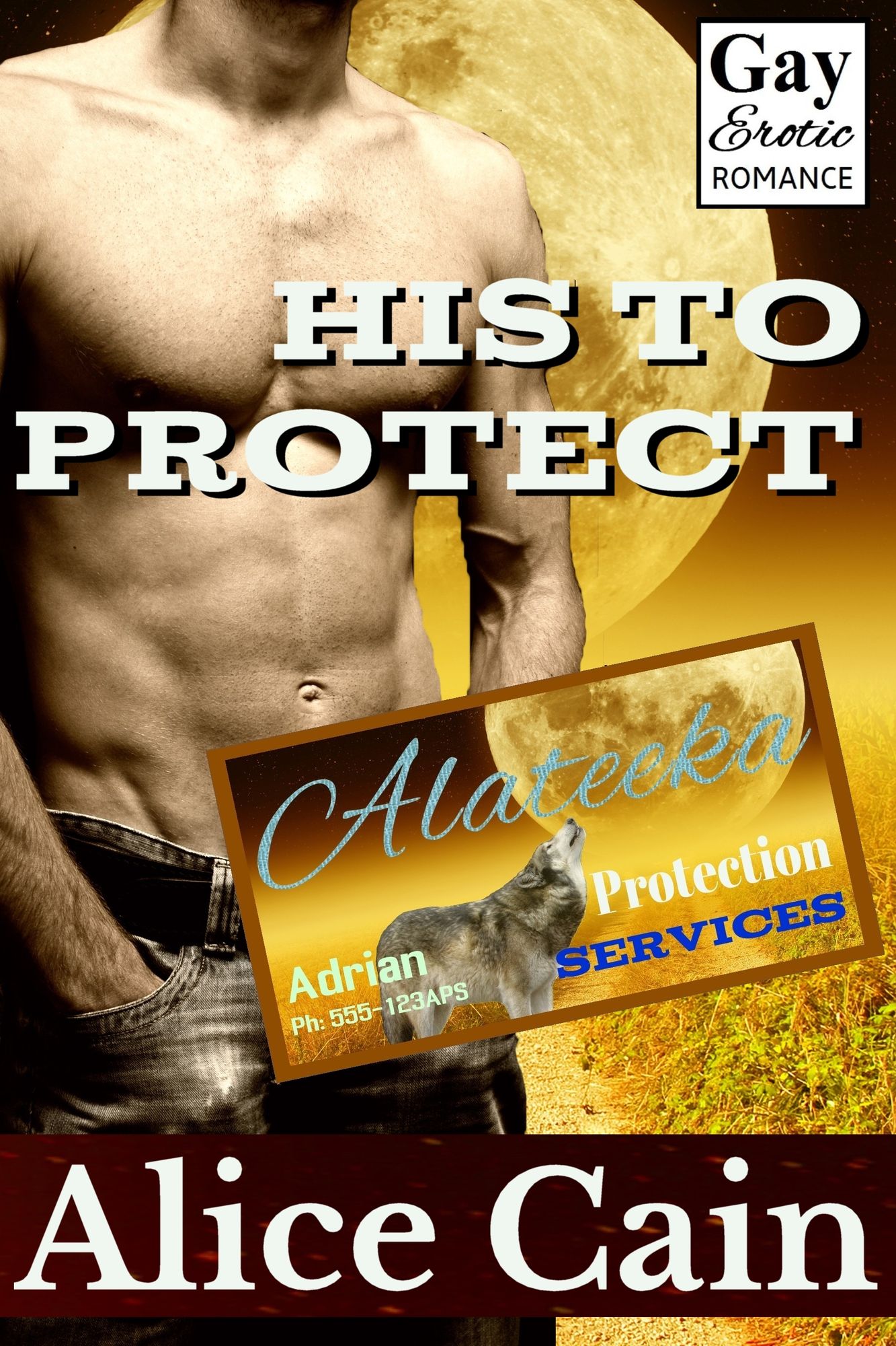 His to Protect [Gay erotic romance]