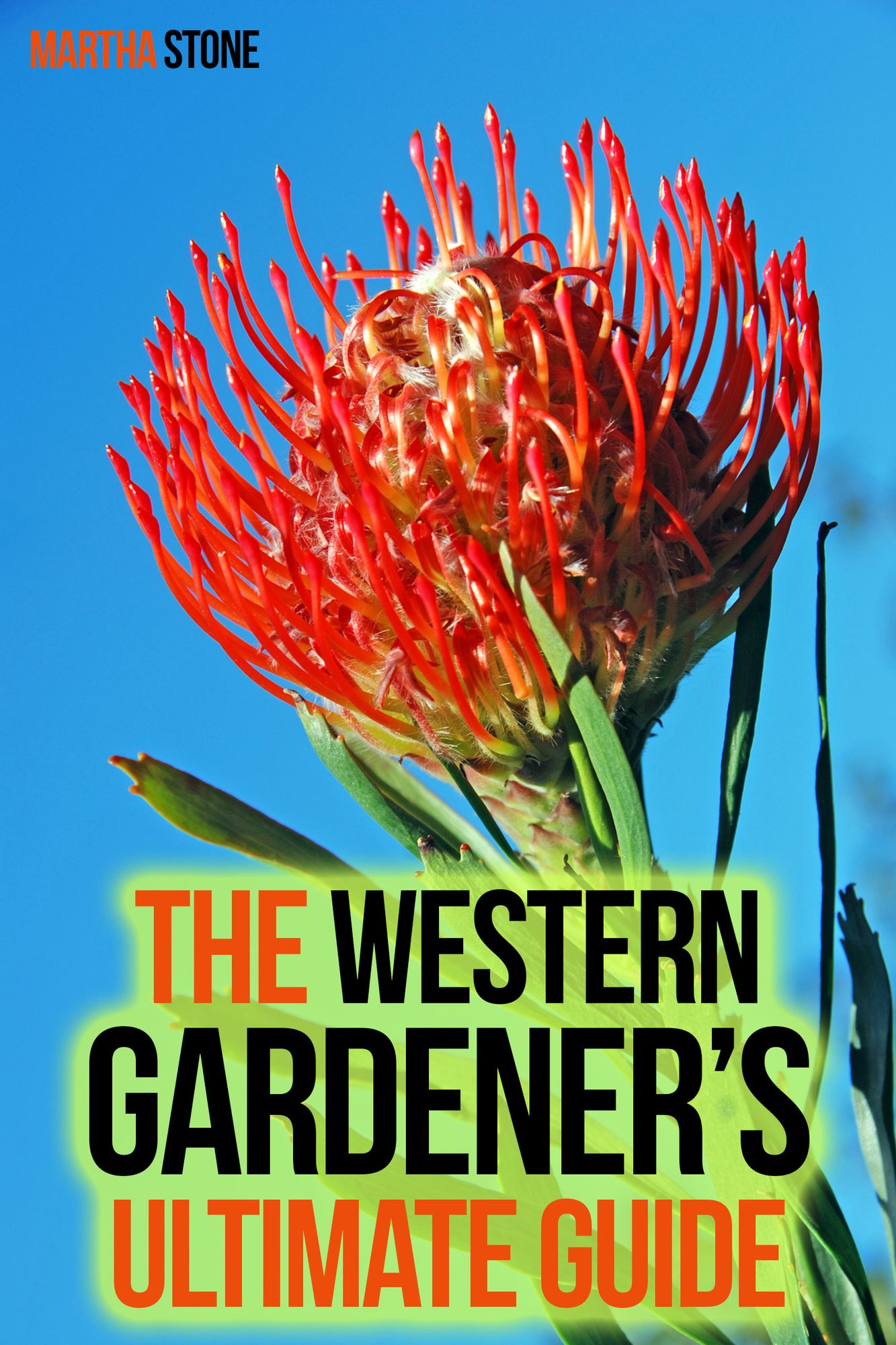 The Western Gardener's Ultimate Guide: Expert Tips on How to Create a Western Garden at Your Own Home