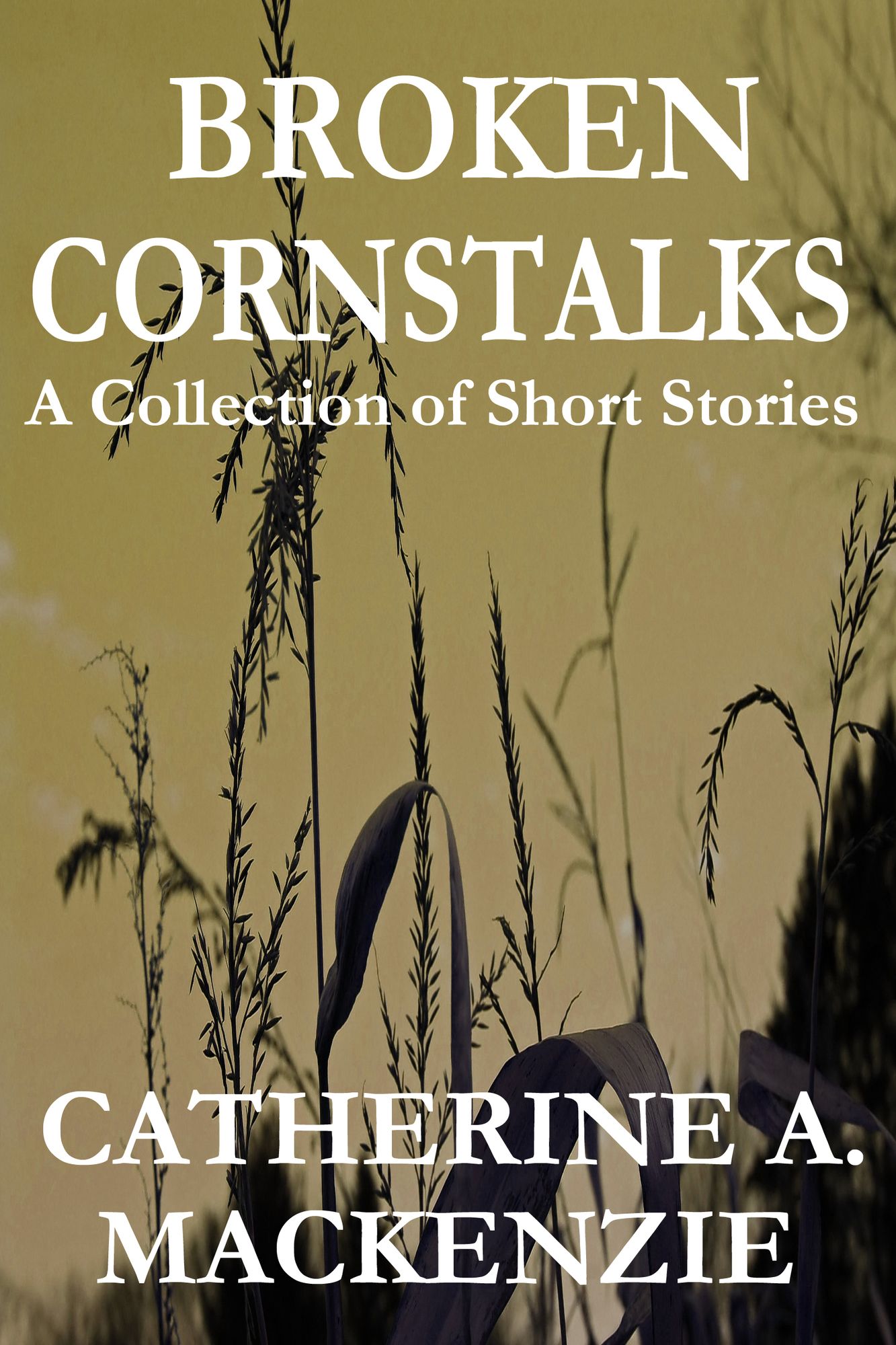 Broken Cornstalks