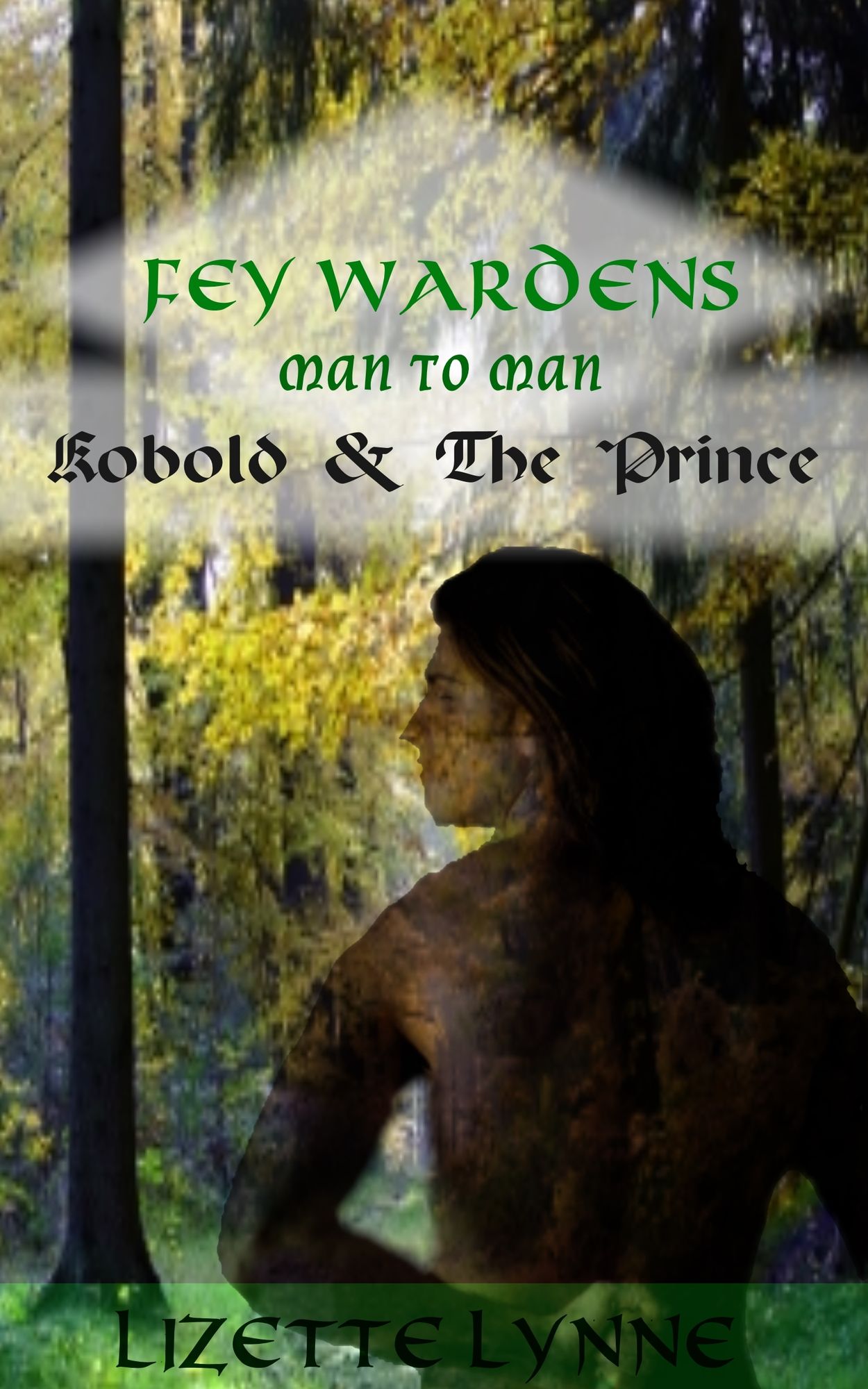 FeyWardens: Kobold & The Prince