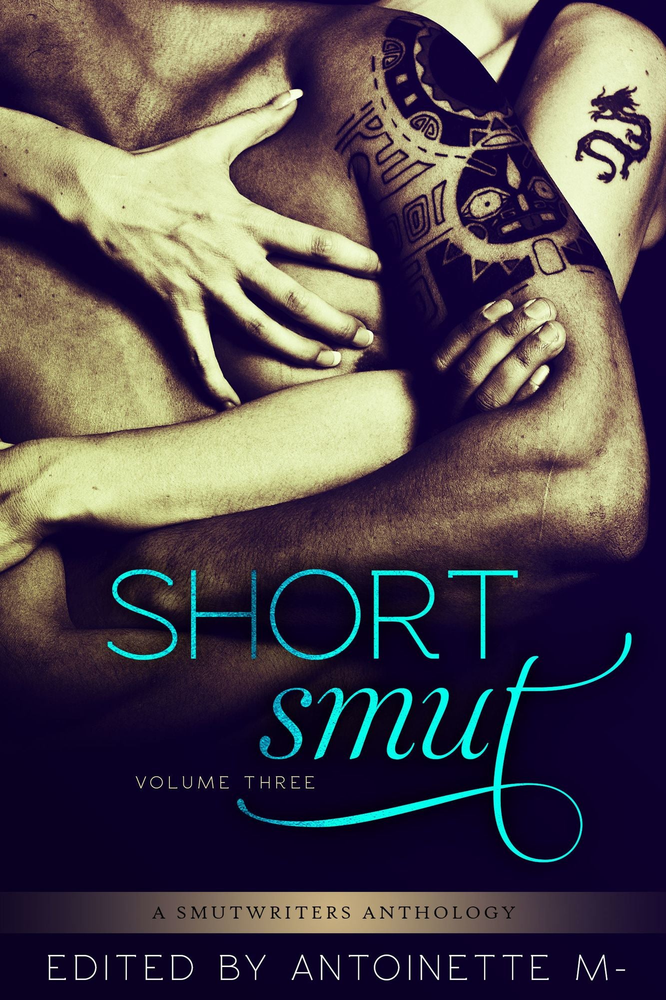 Short Smut, Vol. 3