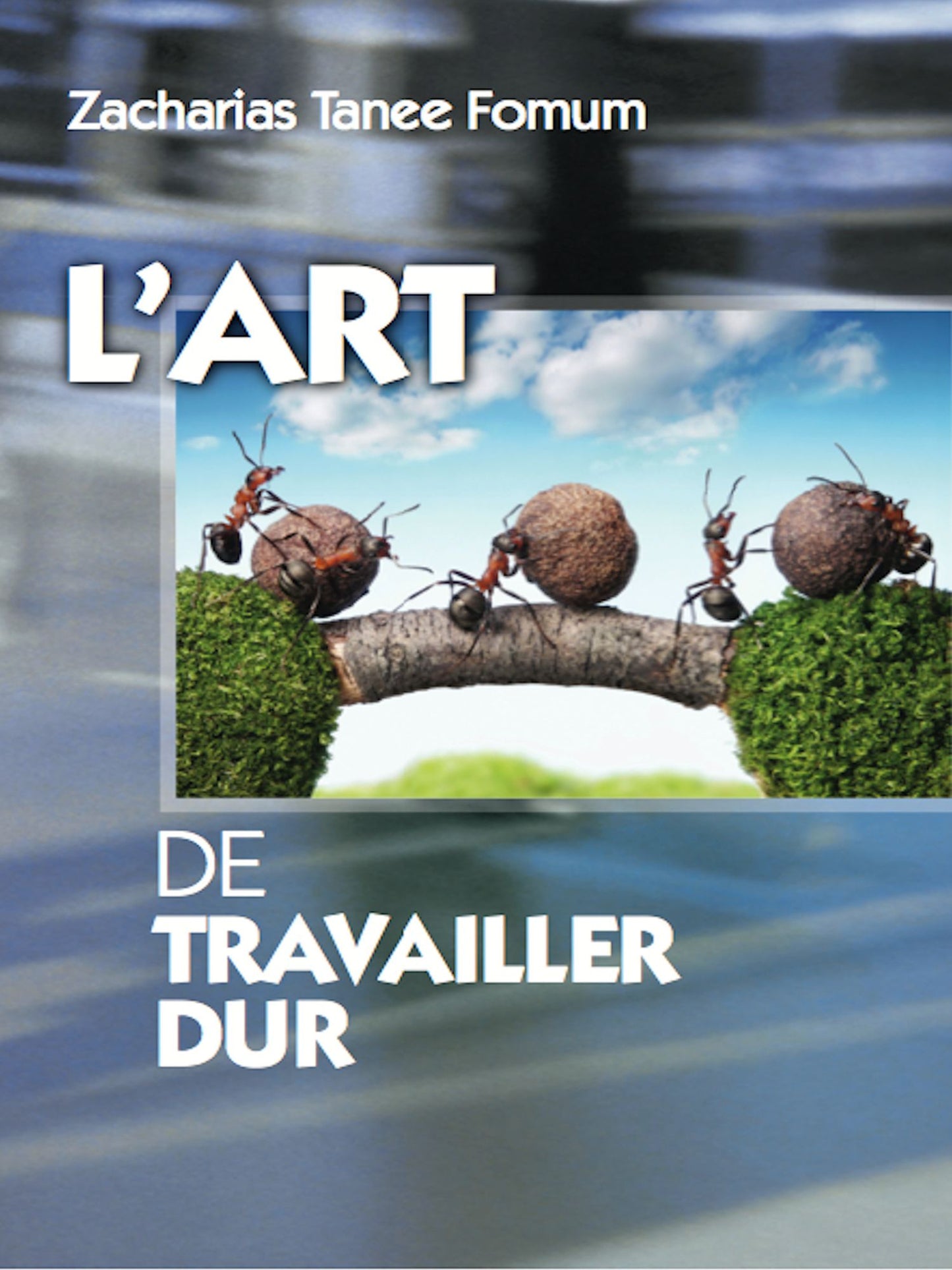 L'art De Travailler Dur