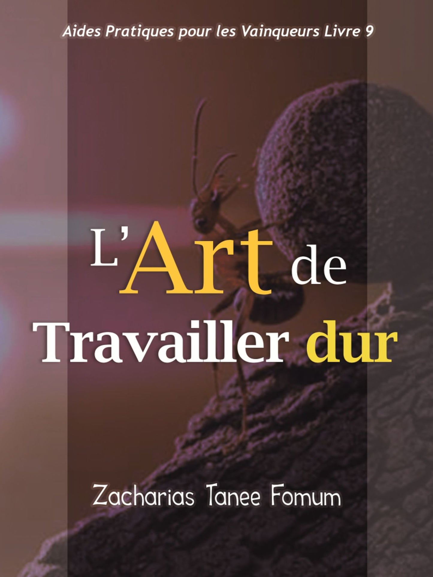 L'art De Travailler Dur