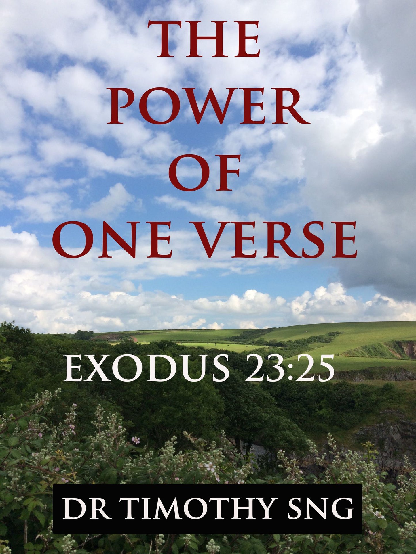 The Power of One Verse Exodus 23:25
