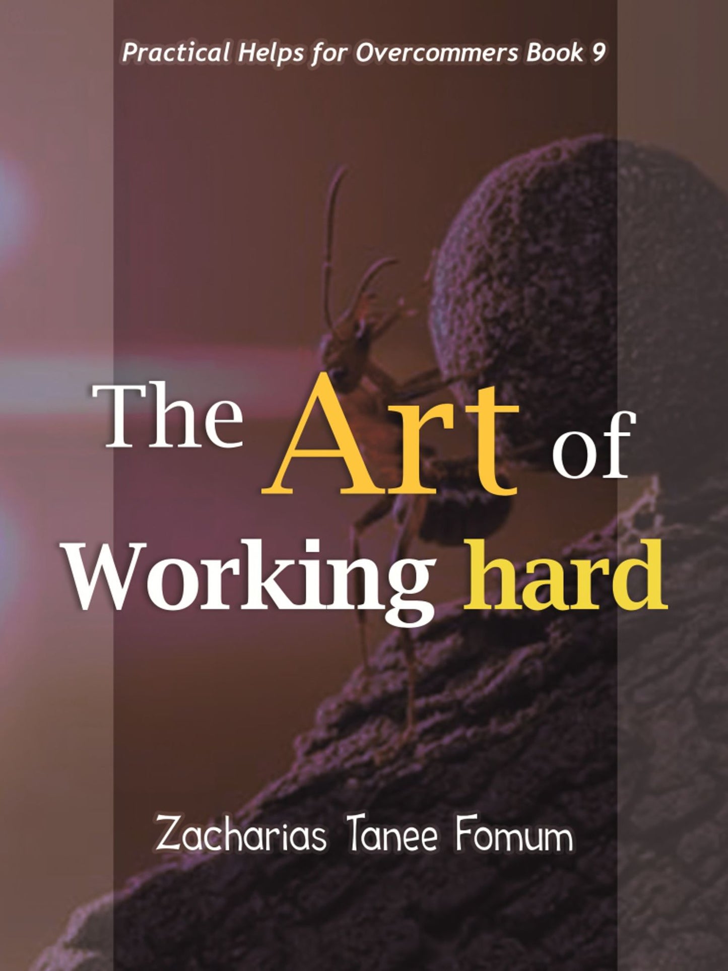 The Art Of Working Hard