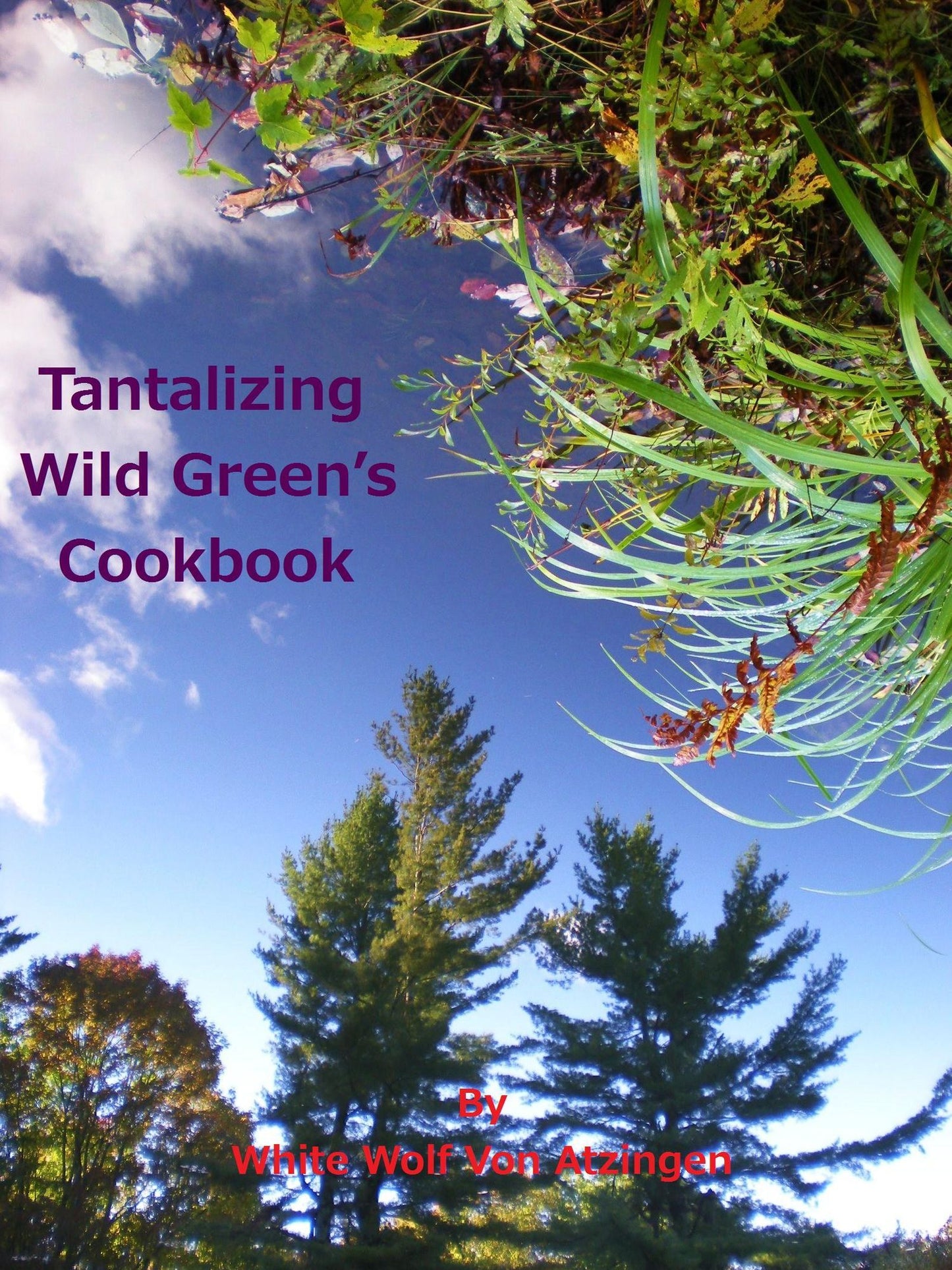 Tantalizing Wild Green's Cookbook