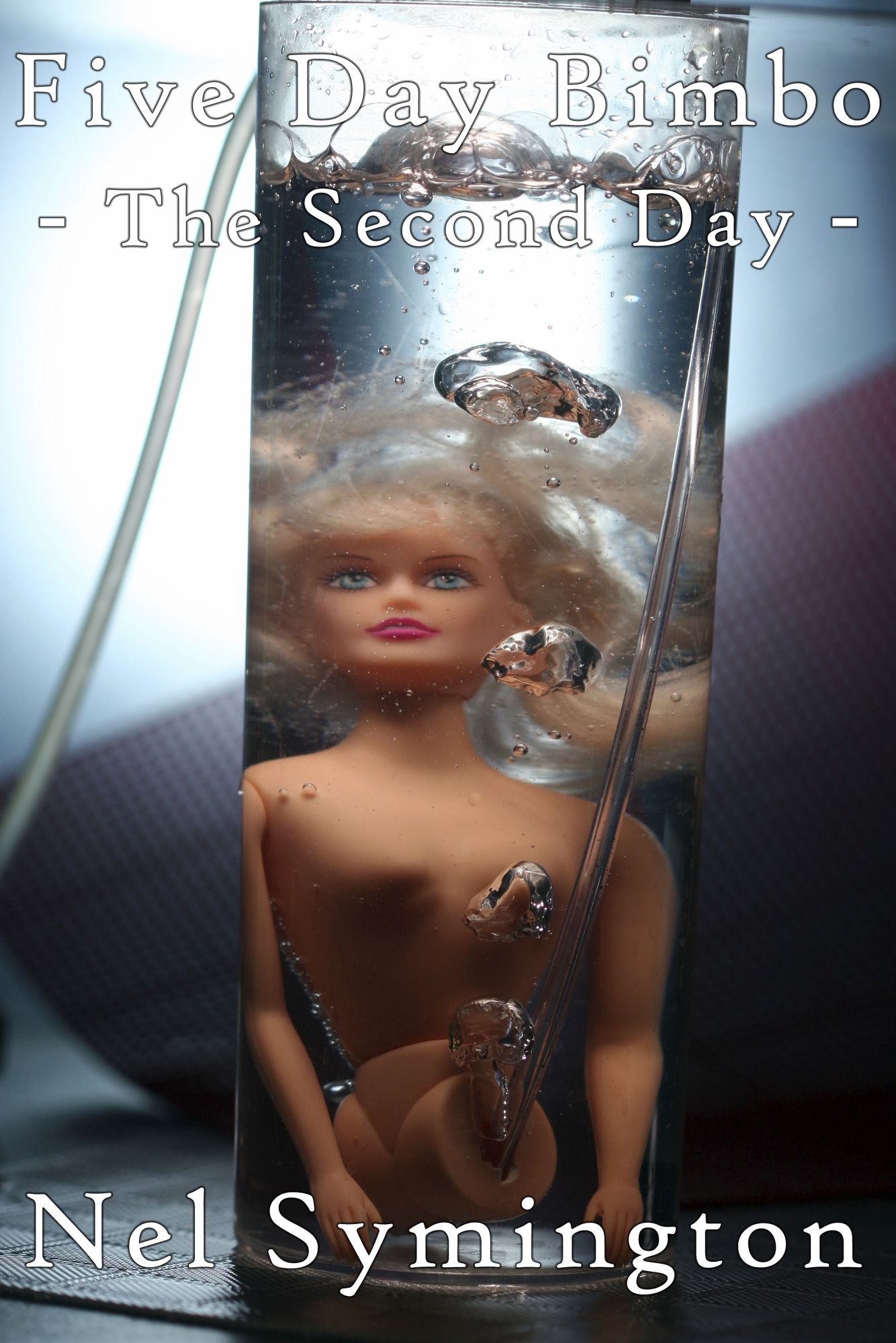 Five Day Bimbo: The Second Day