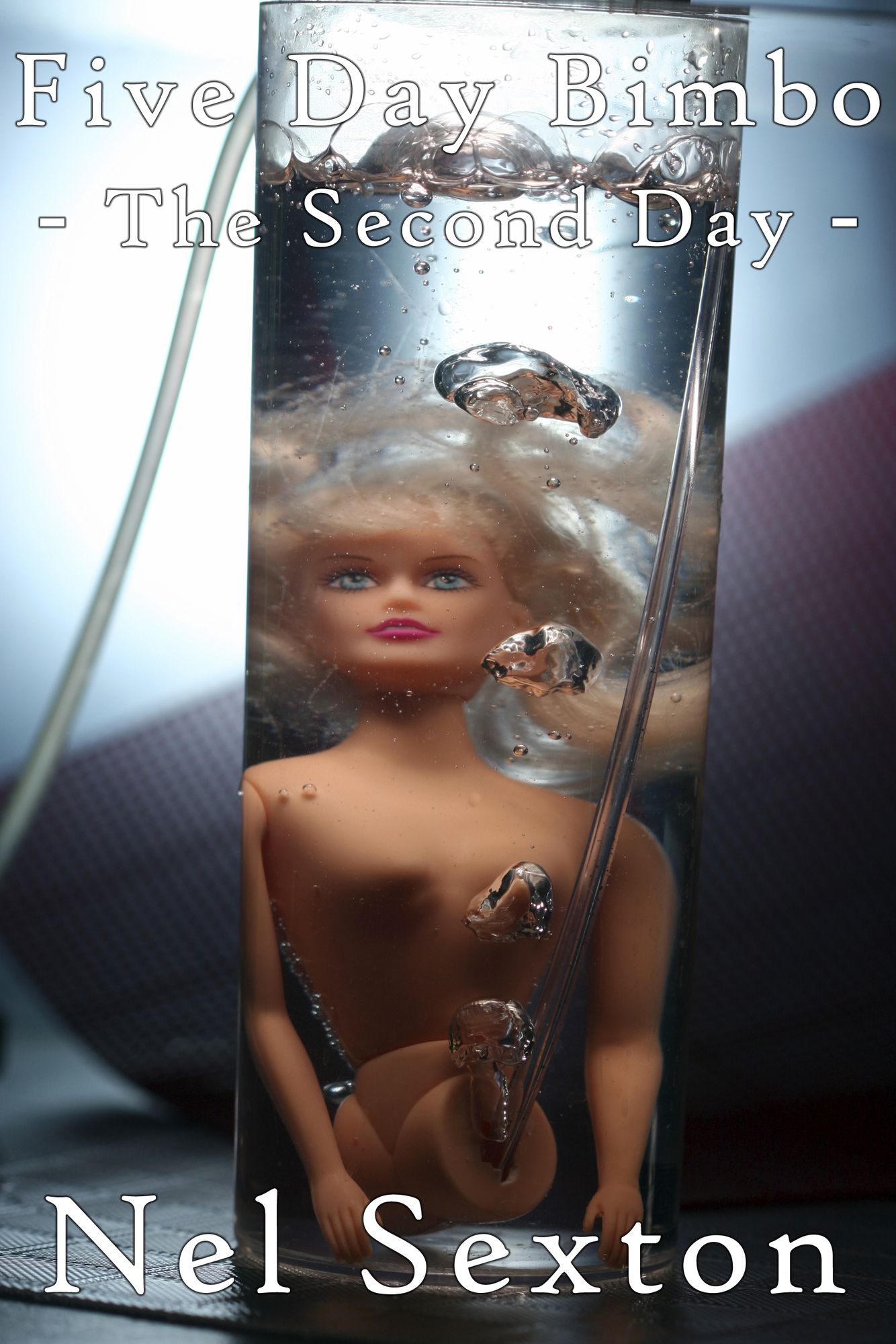 Five Day Bimbo: The Second Day