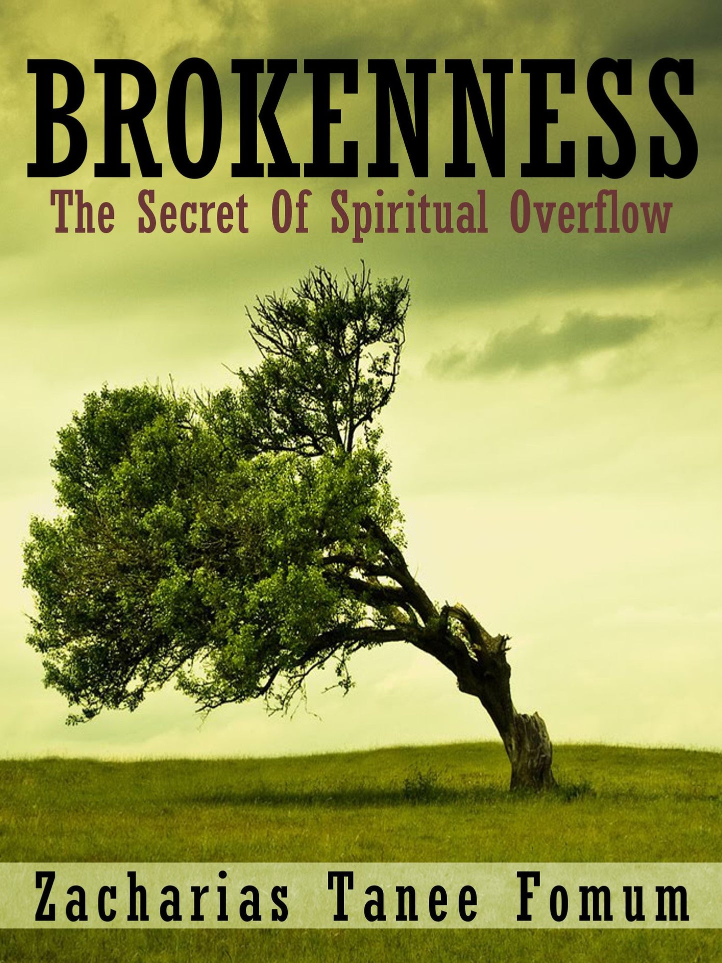 Brokenness: The Secret Of Spiritual Overflow