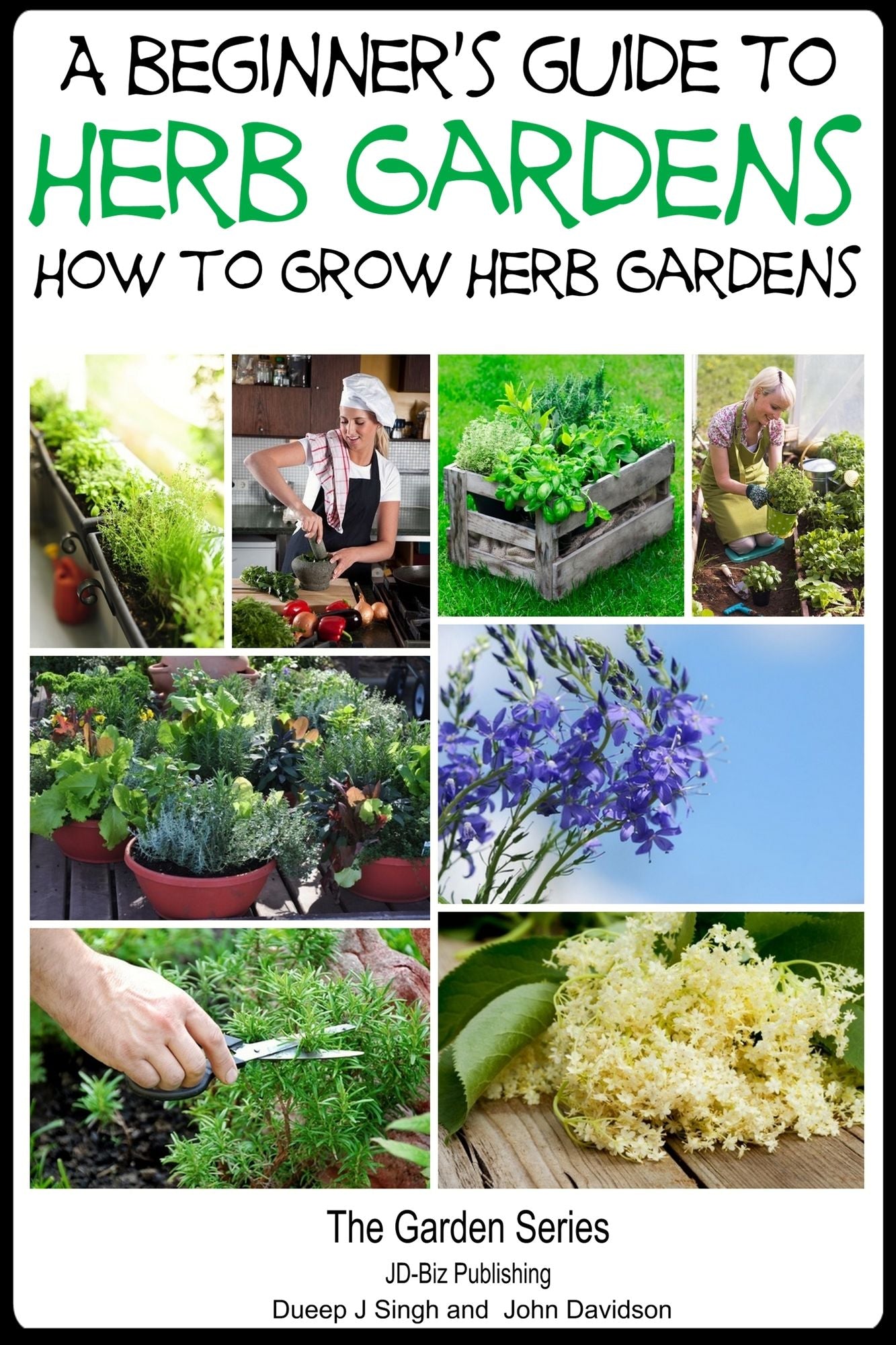 A Beginner's Guide to Herb Gardening: How to Grow Herb Gardens