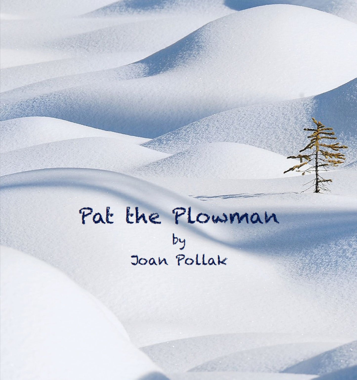 Pat the Plowman