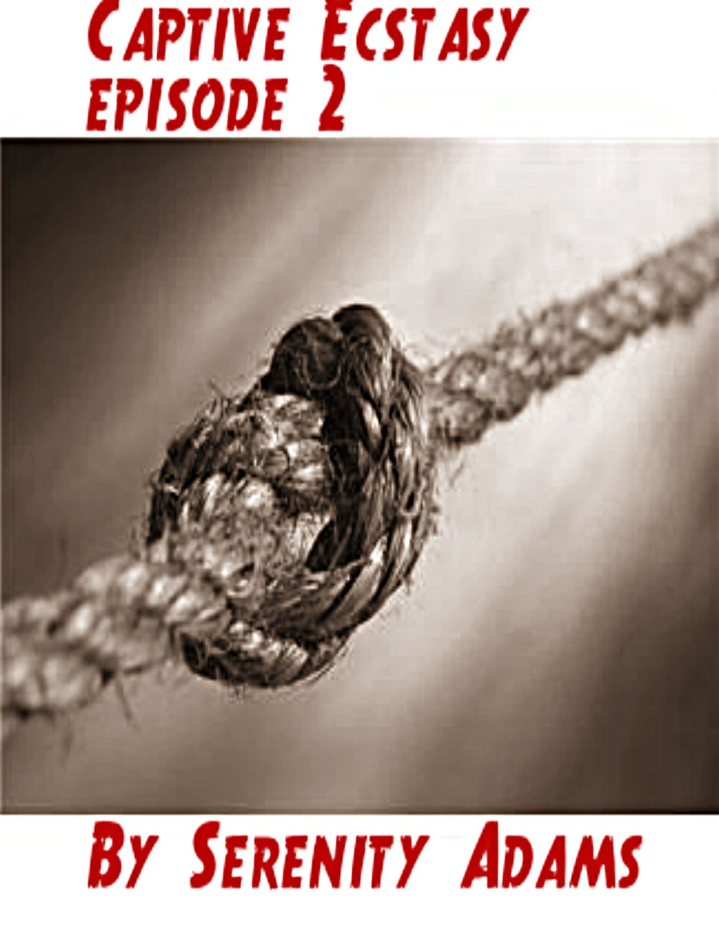 Captive Ecstasy: Episode 2