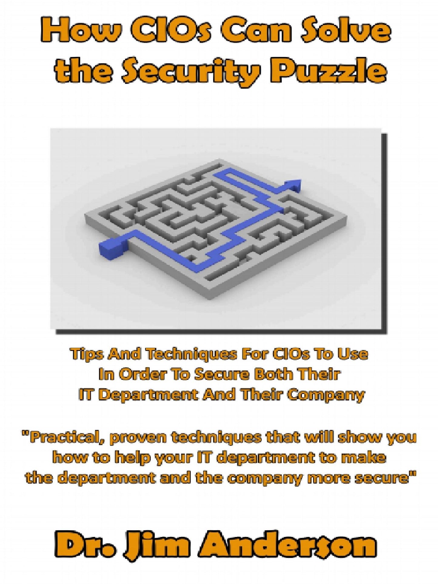 How CIOs Can Solve the Security Puzzle: Tips And Techniques For CIOs To Use In Order To Secure Both Their IT Department And Their Company