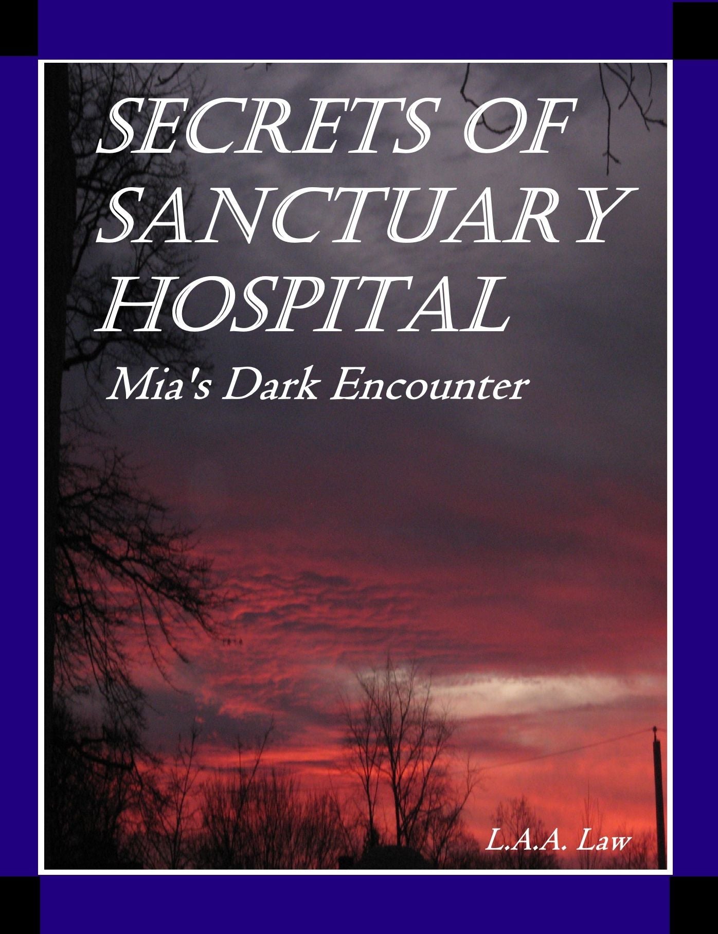 Secrets of Sanctuary Hospital Mia's Dark Encounter
