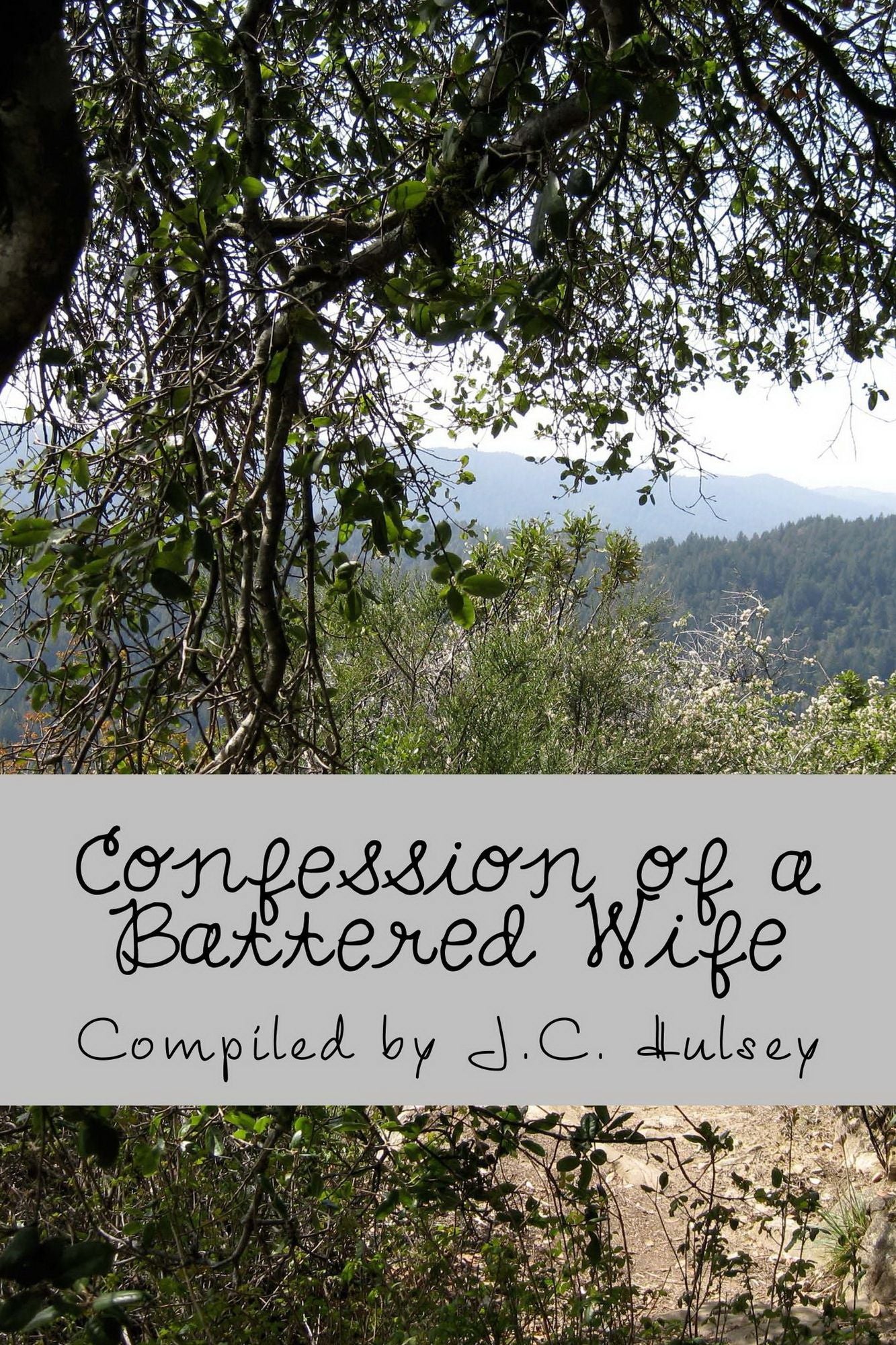 Confessions of a Battered Wife A True Story